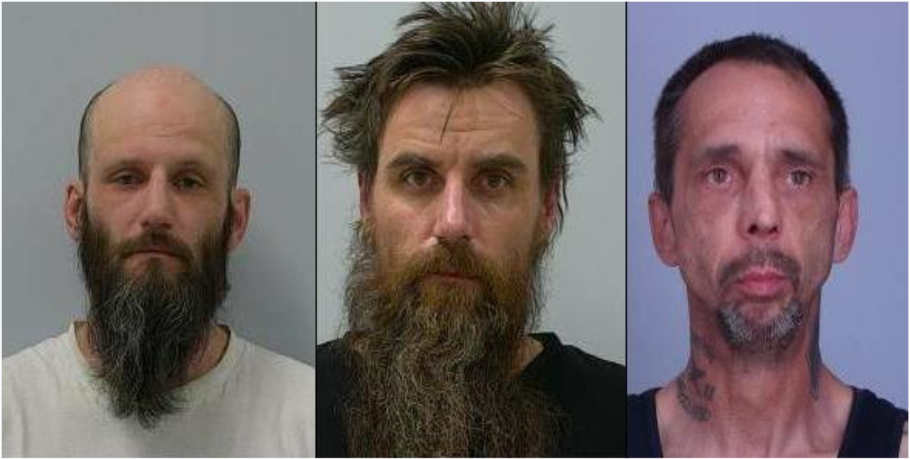 Three men, including two from northwest Iowa, arrested after ATM burglary, police chase in Sherburne County - Vimarsana News