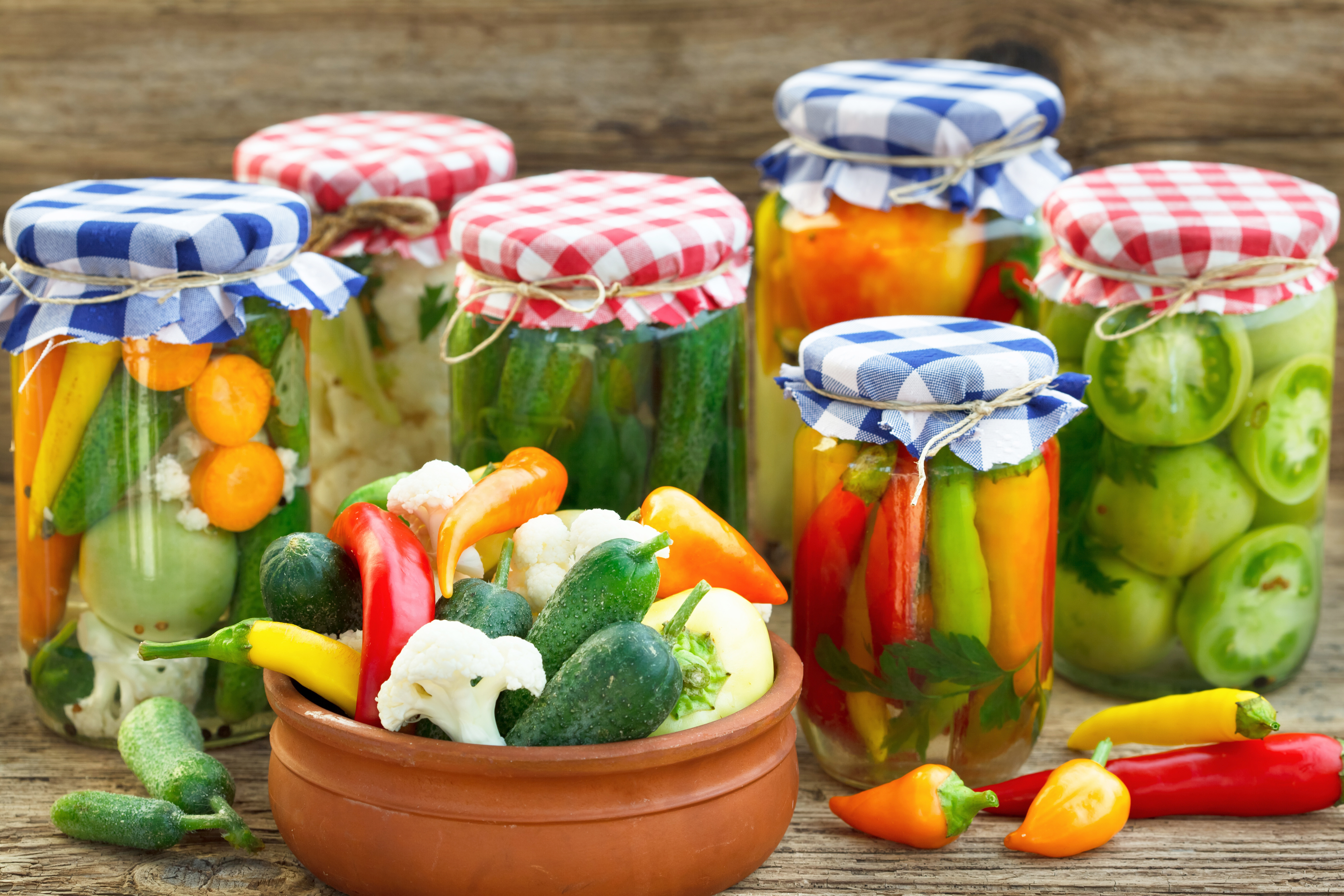 Learn how to preserve your garden bounty - Vimarsana News