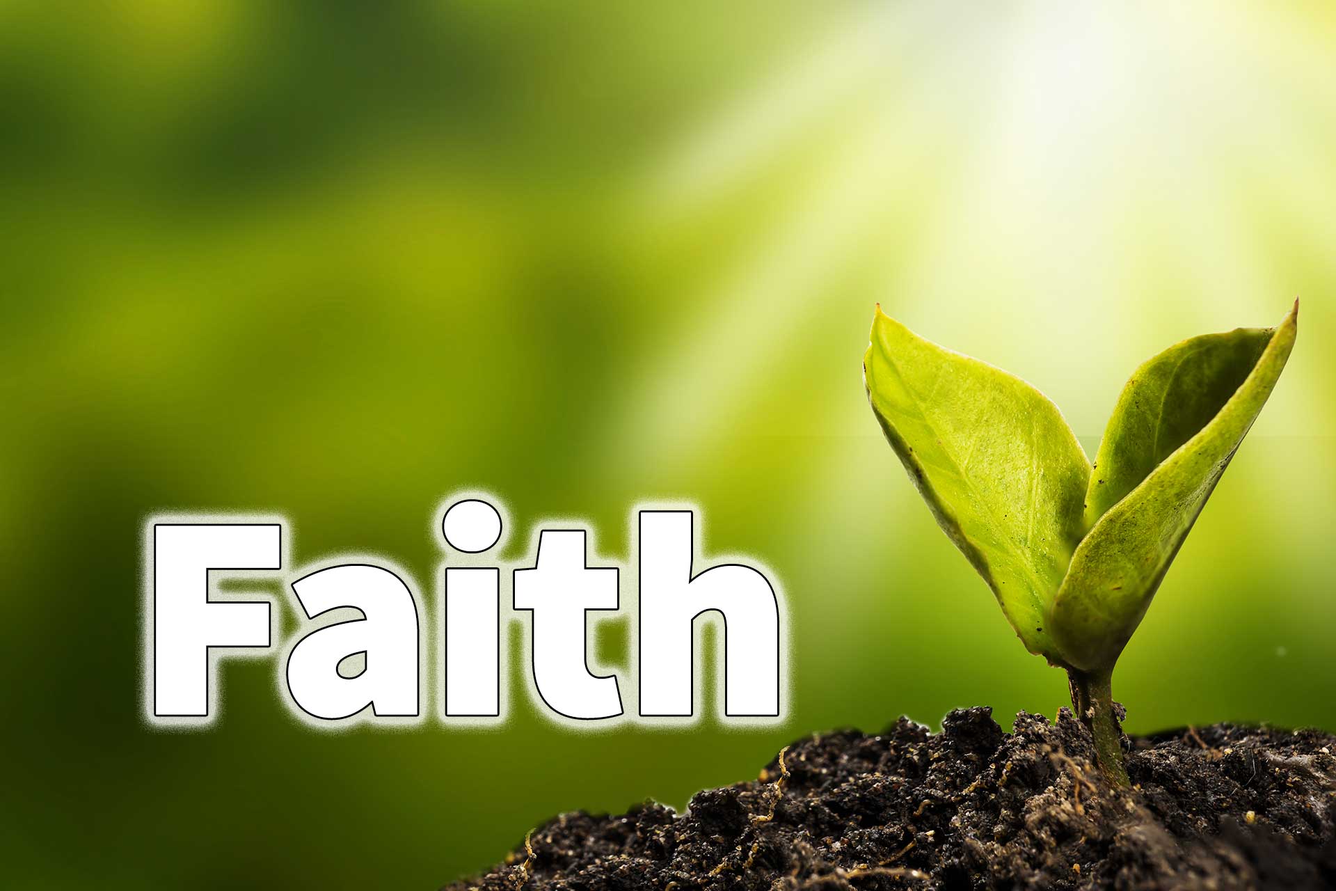 Faith: Hope takes many forms - Vimarsana News