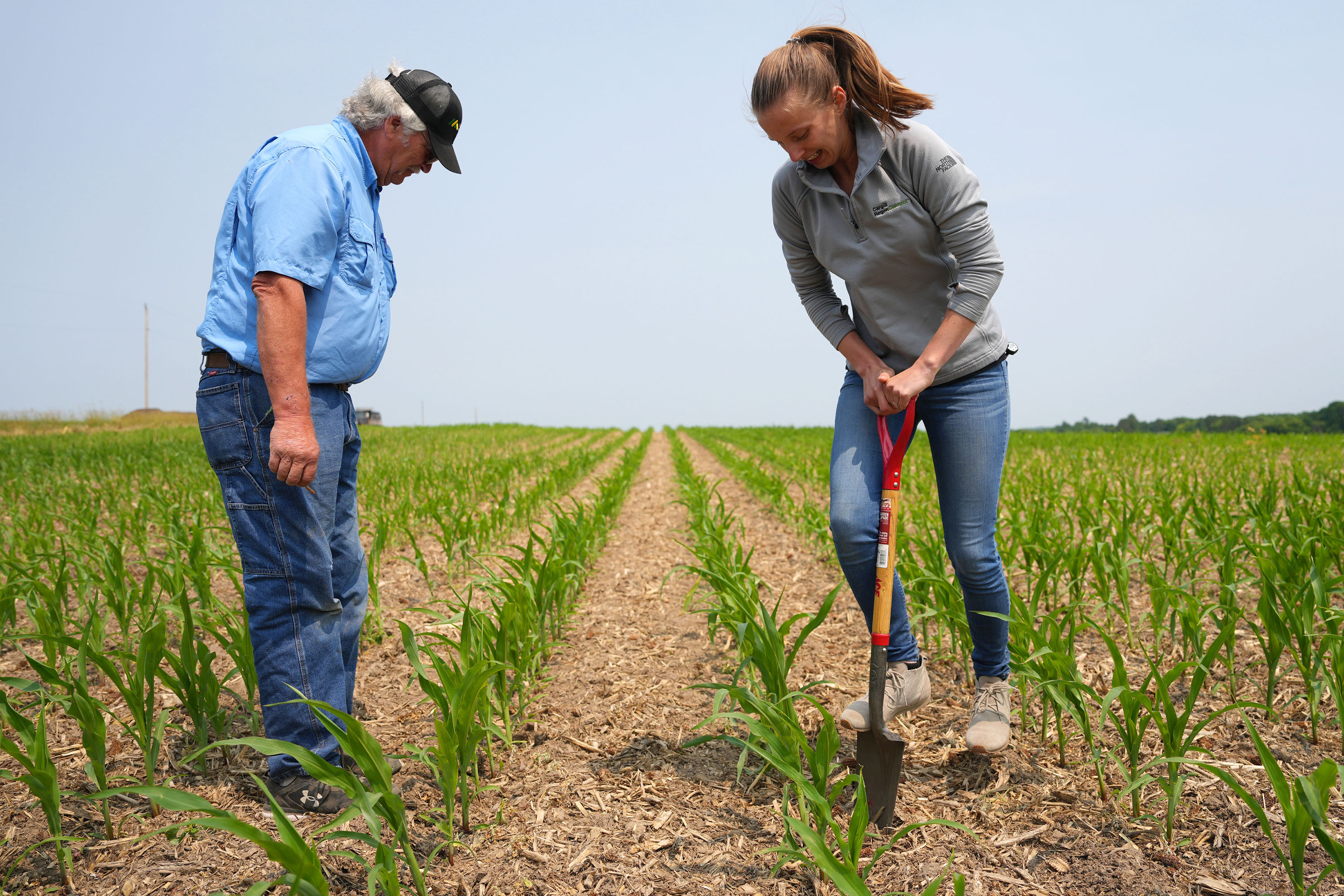 Minnesota farmers saw income drop 76% last year from plunging commodity prices - Vimarsana News