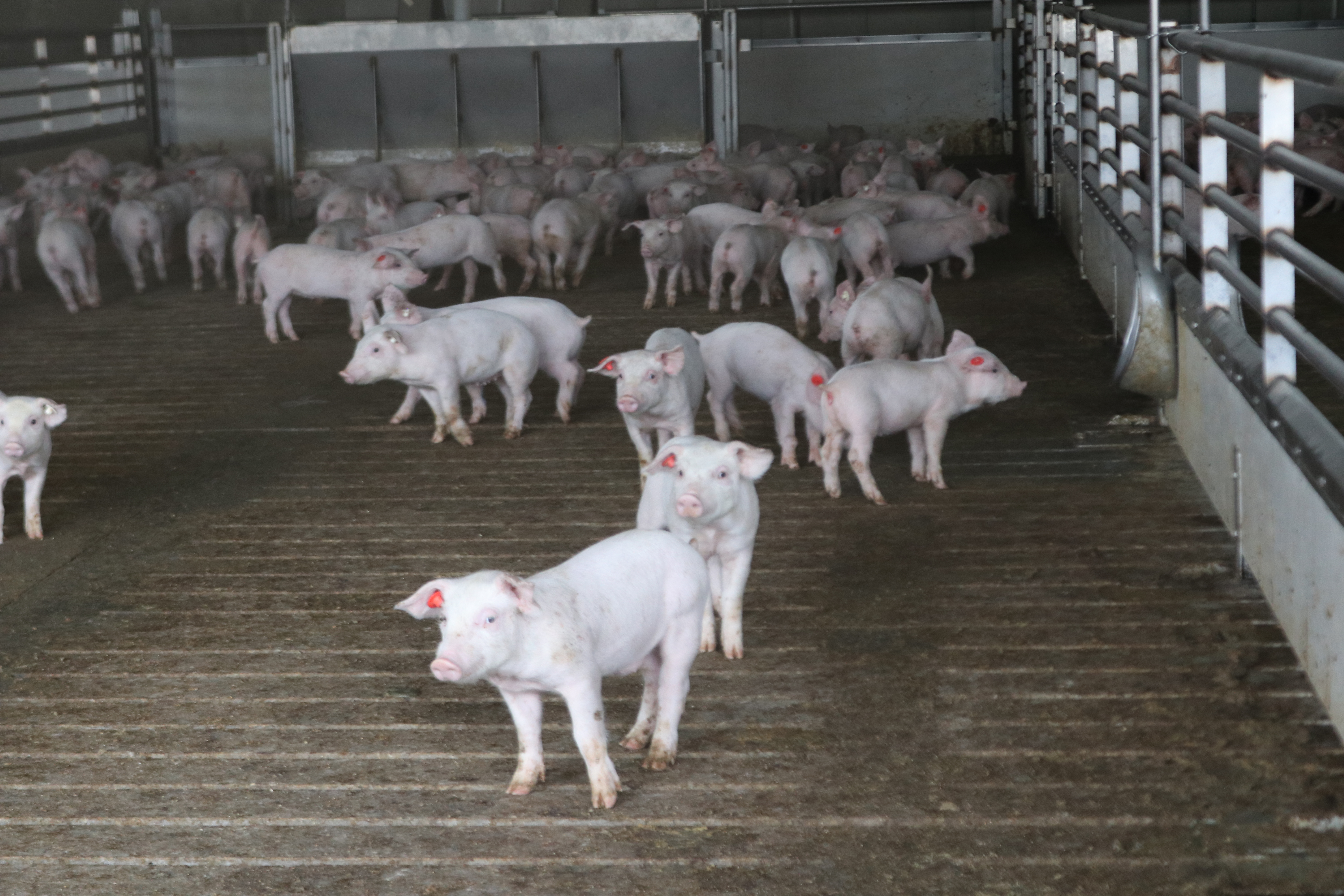 With input from Farmers Union, North Dakota House votes to loosen corporate farming rules - Vimarsana News