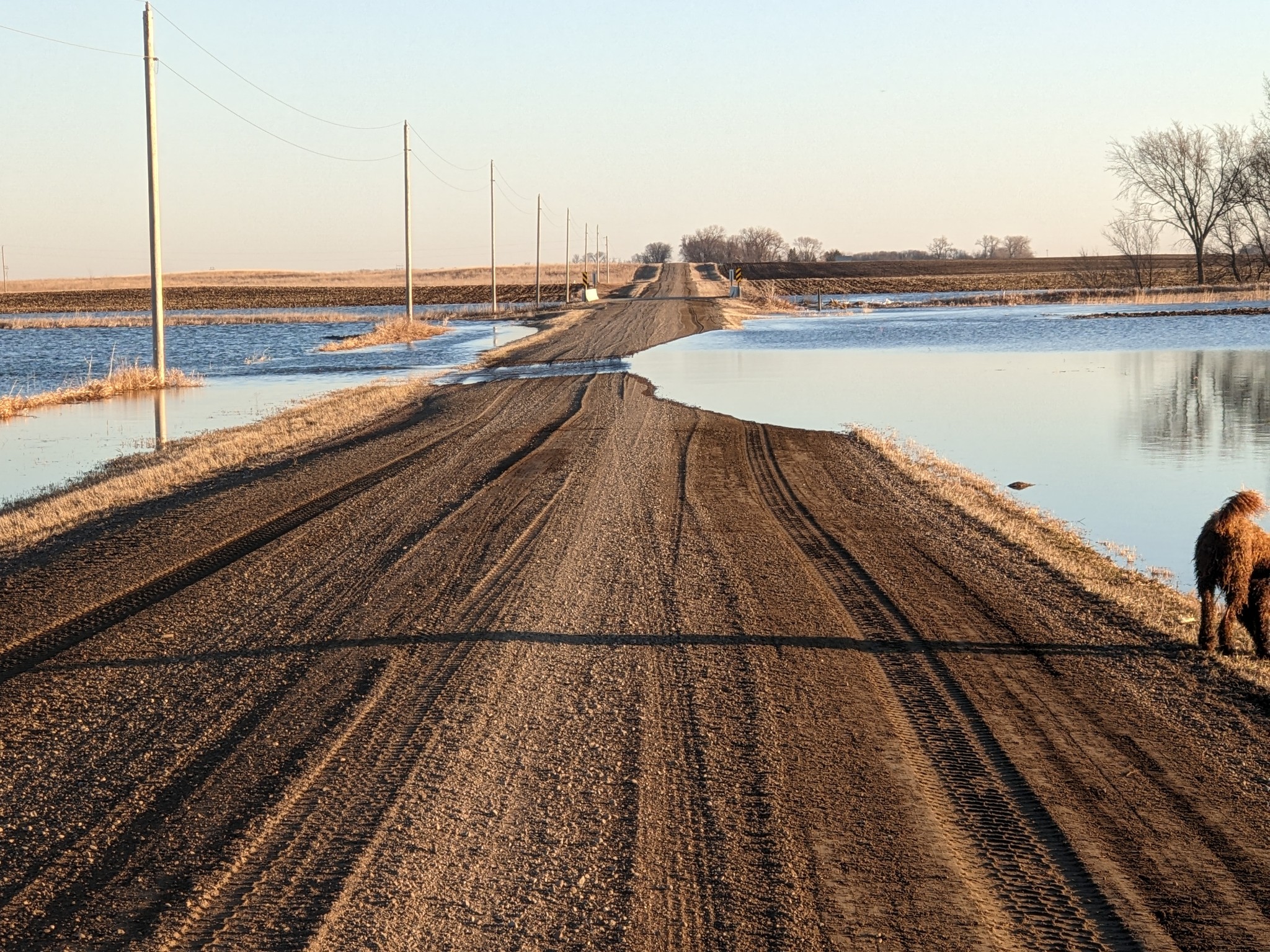 Western Minnesota's Lac qui Parle County issues flood advisory - Vimarsana News
