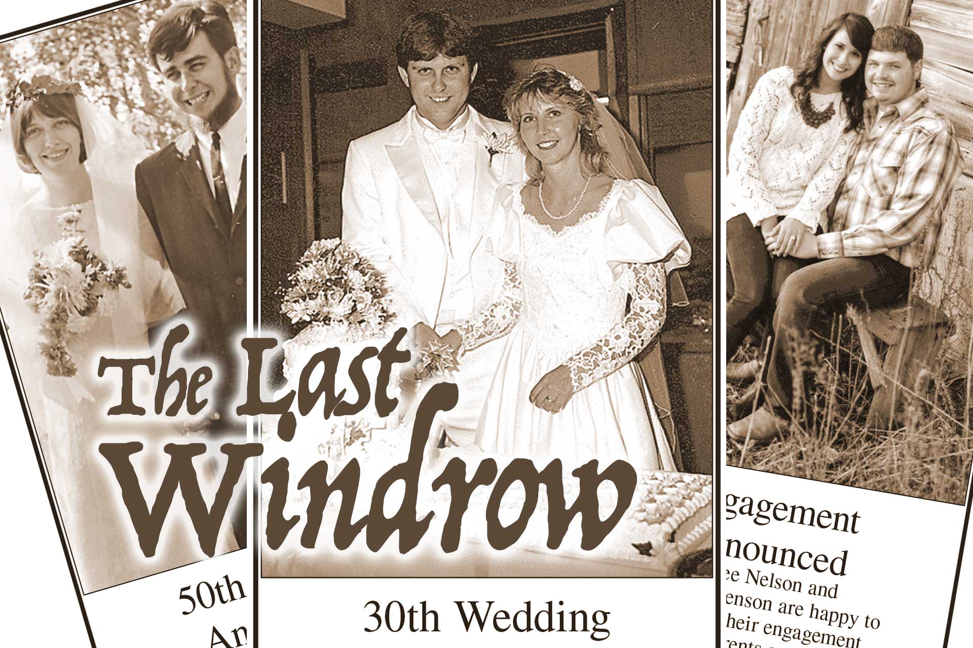 The Last Windrow: Bring back what we used to read in newspapers - Vimarsana News