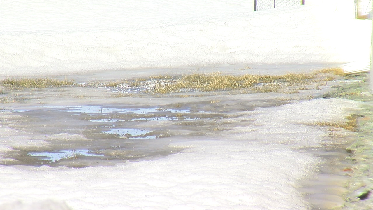 Expert says it could be a big year for snow mold in Fargo-Moorhead area - Vimarsana News