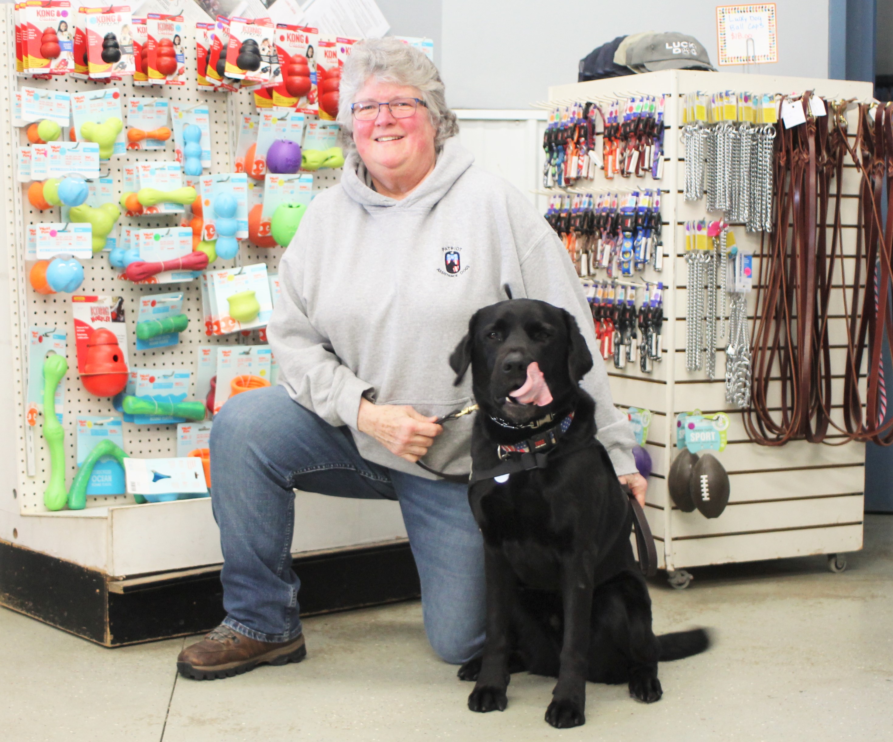 Fundraising begins for program that trains rescue dogs to rescue veterans - Vimarsana News