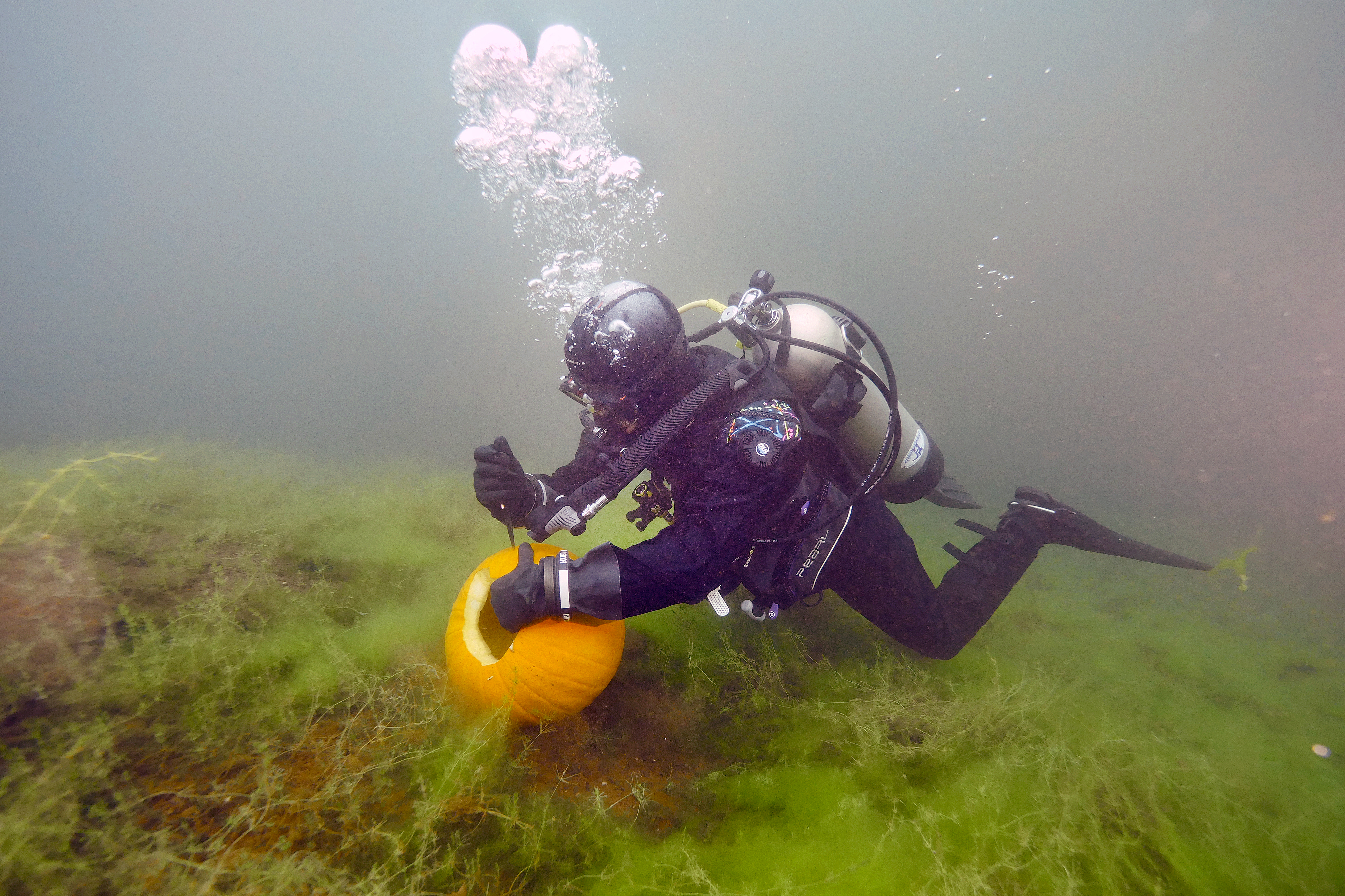 Underwater pumpkin carving signals the end of summer - Vimarsana News