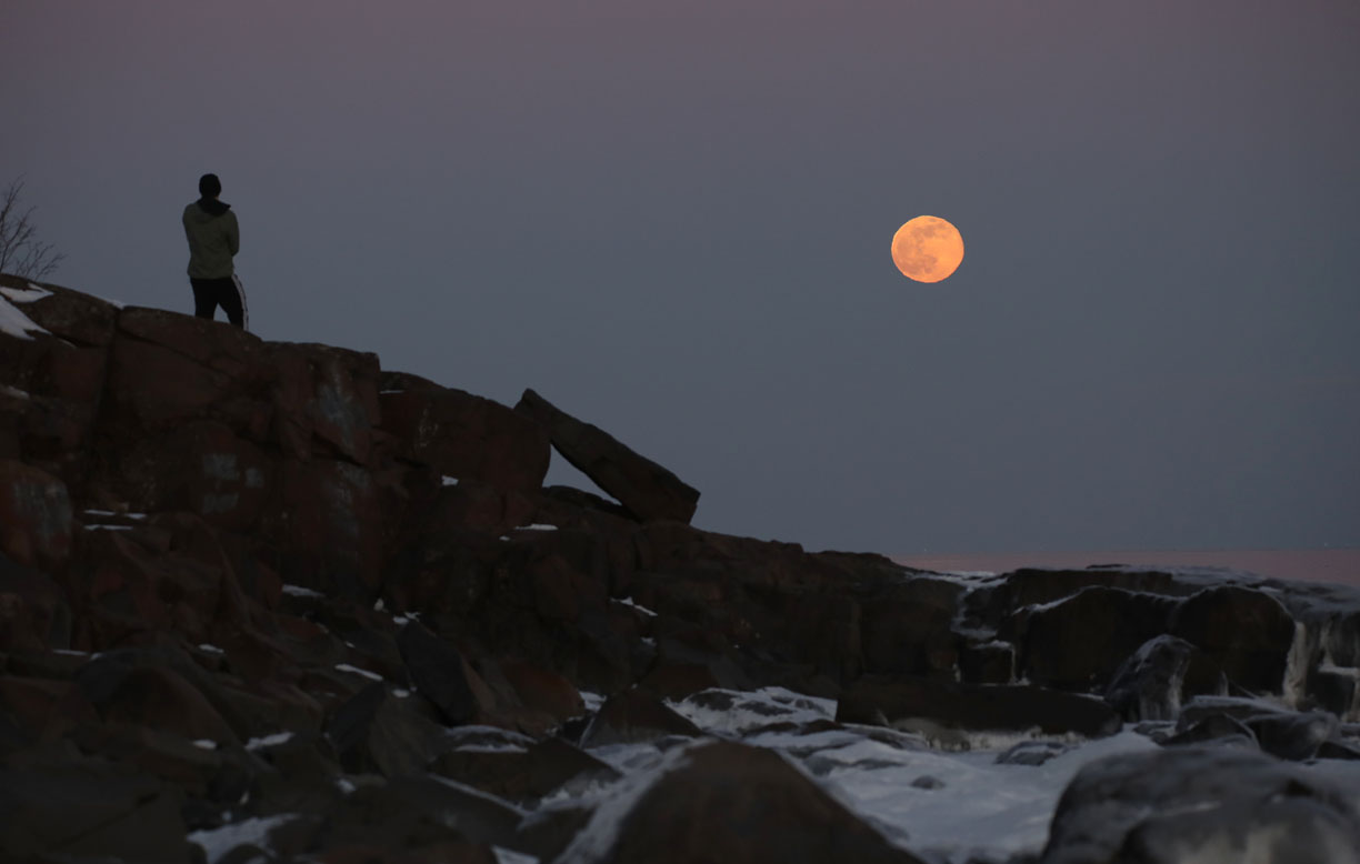 Astro Bob: Full-moon forest creatures; Curiosity photographs Martian crepuscular rays - Vimarsana News