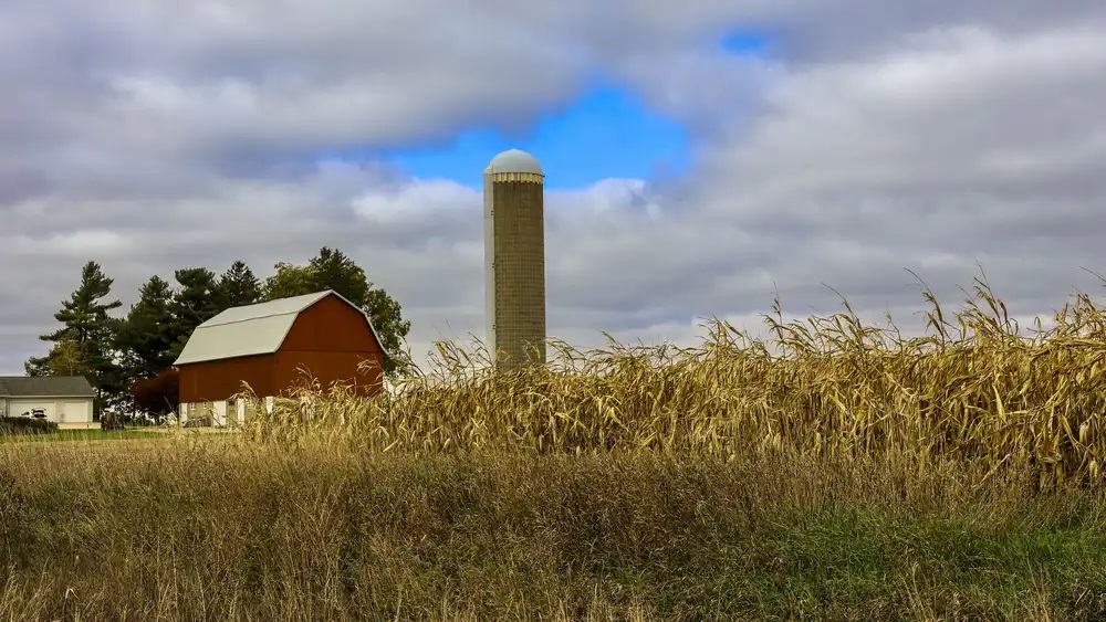 Southeast Minnesota struggles for common ground on nitrate pollution as health worries rise - Vimarsana News
