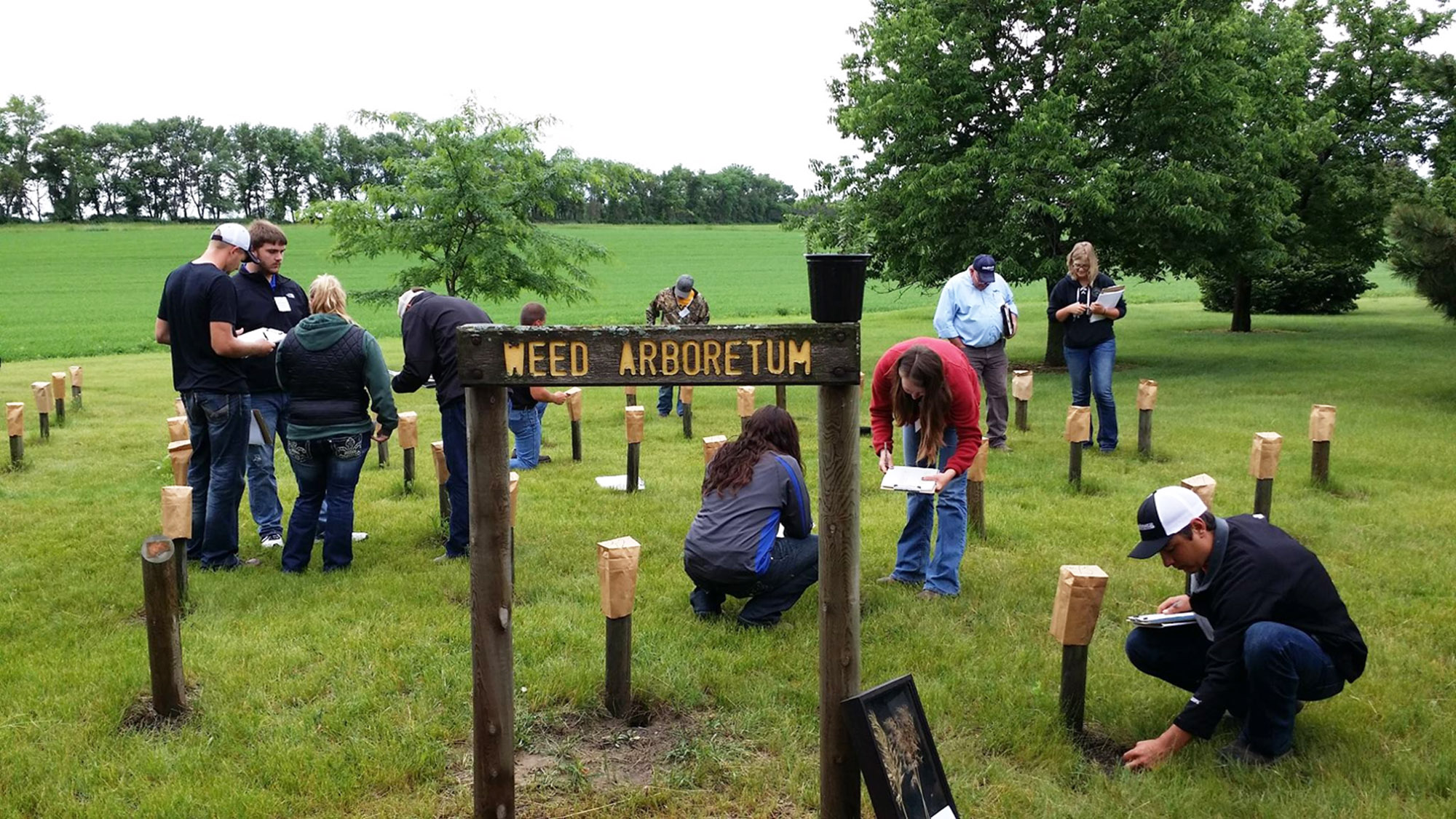 NDSU Extension to host crop management field school at Carrington - Vimarsana News
