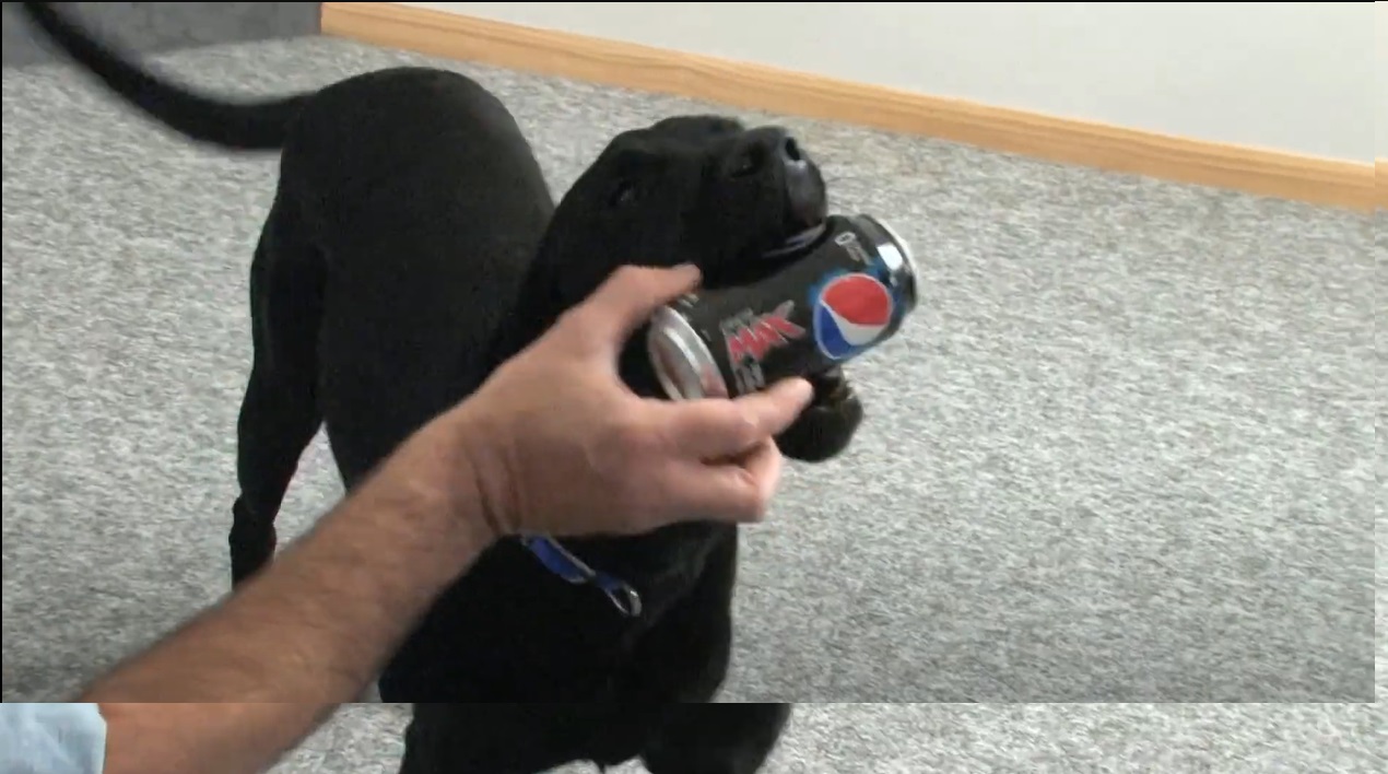 Brainerd area man has spent decades teaching his dogs to fetch him beer - Vimarsana News