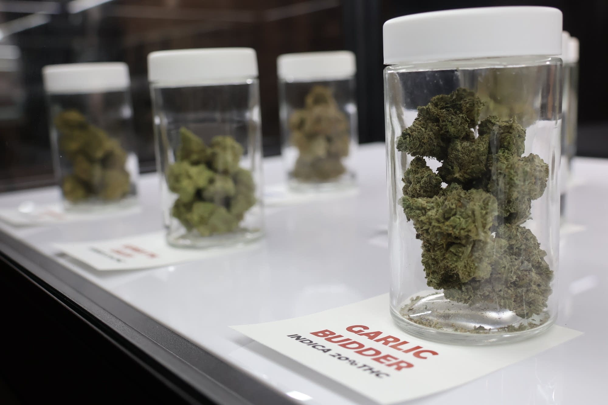 Cannabis on the go: Red Lake Nation to offer mobile dispensary - Vimarsana News