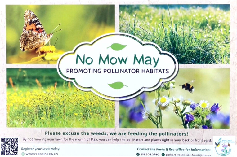 No Mow May returns to Bemidji, registration available - Vimarsana News