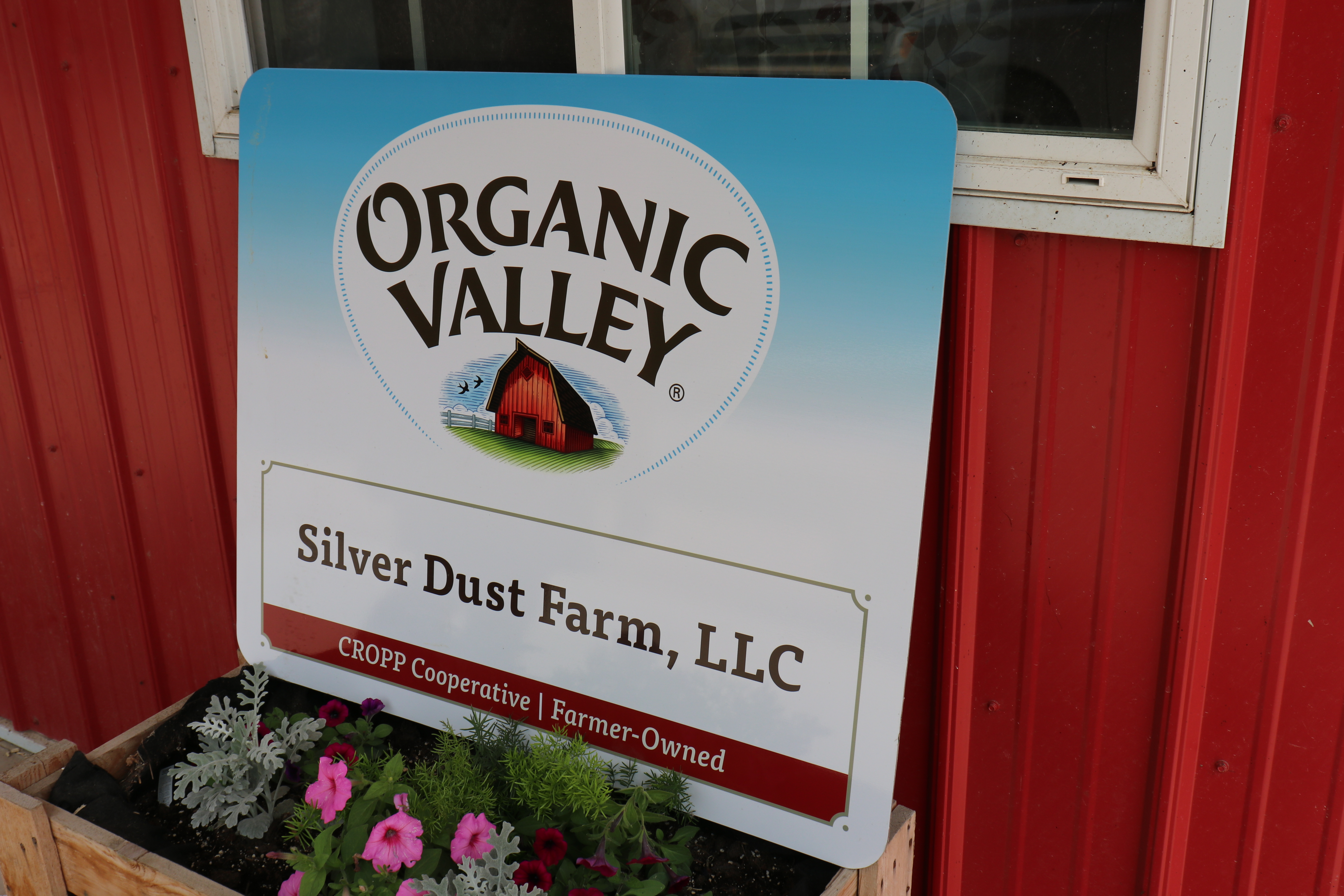 Organic sales, Organic Valley on the upswing - Vimarsana News