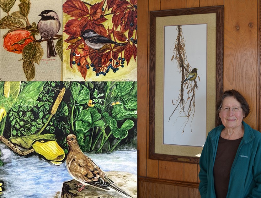 Otter Tail County Historical Society exhibit features artist Marion Otnes - Vimarsana News