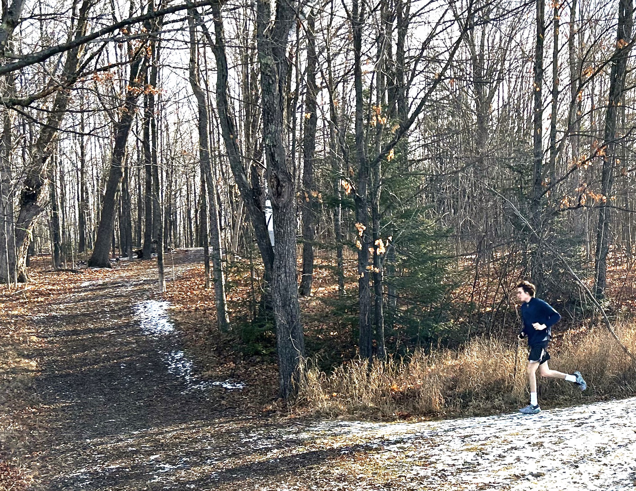 You aren't dreaming: Northland's usually white Christmas may be in doubt - Duluth News Tribune | News, weather, and sports from Duluth, Minnesota - Vimarsana News