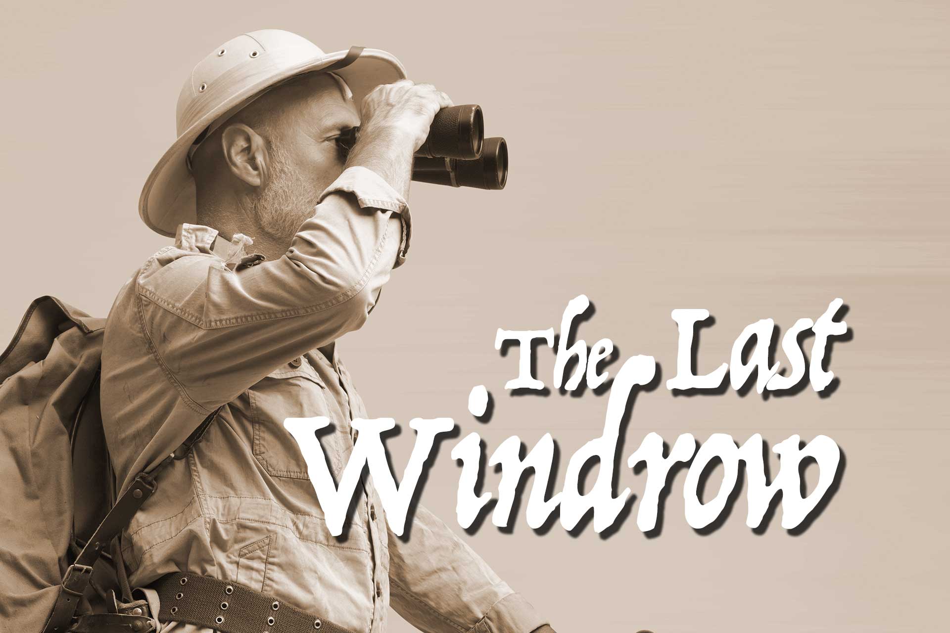 The Last Windrow: Loons return in spring, and I saw one - Vimarsana News