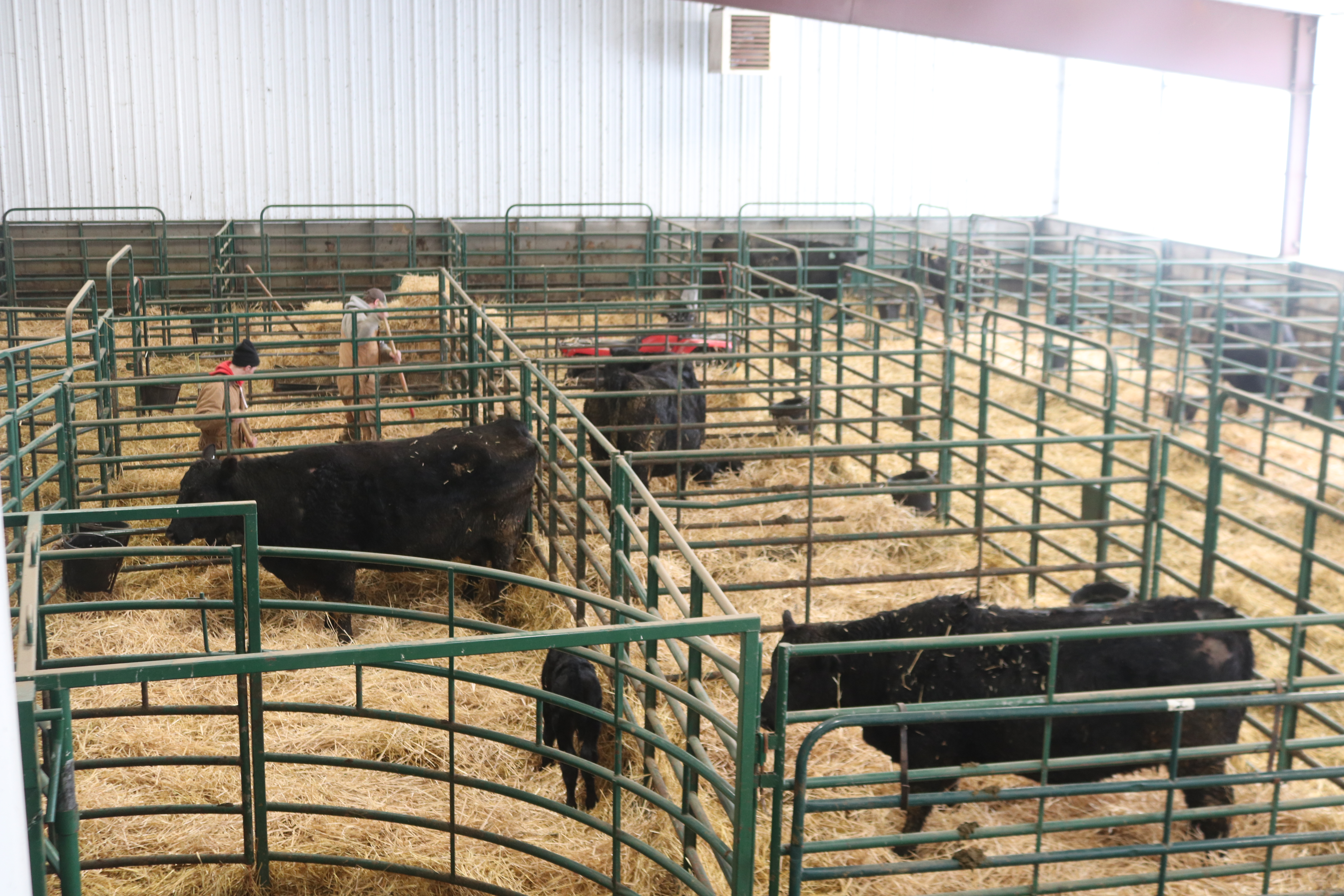 Livestock leaders say farmers need to engage in climate conversations - Vimarsana News