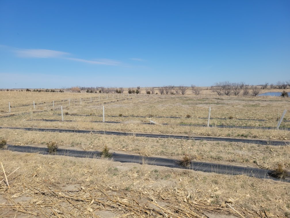 Summit Carbon files more than 80 eminent domain lawsuits against South Dakota landowners - Vimarsana News