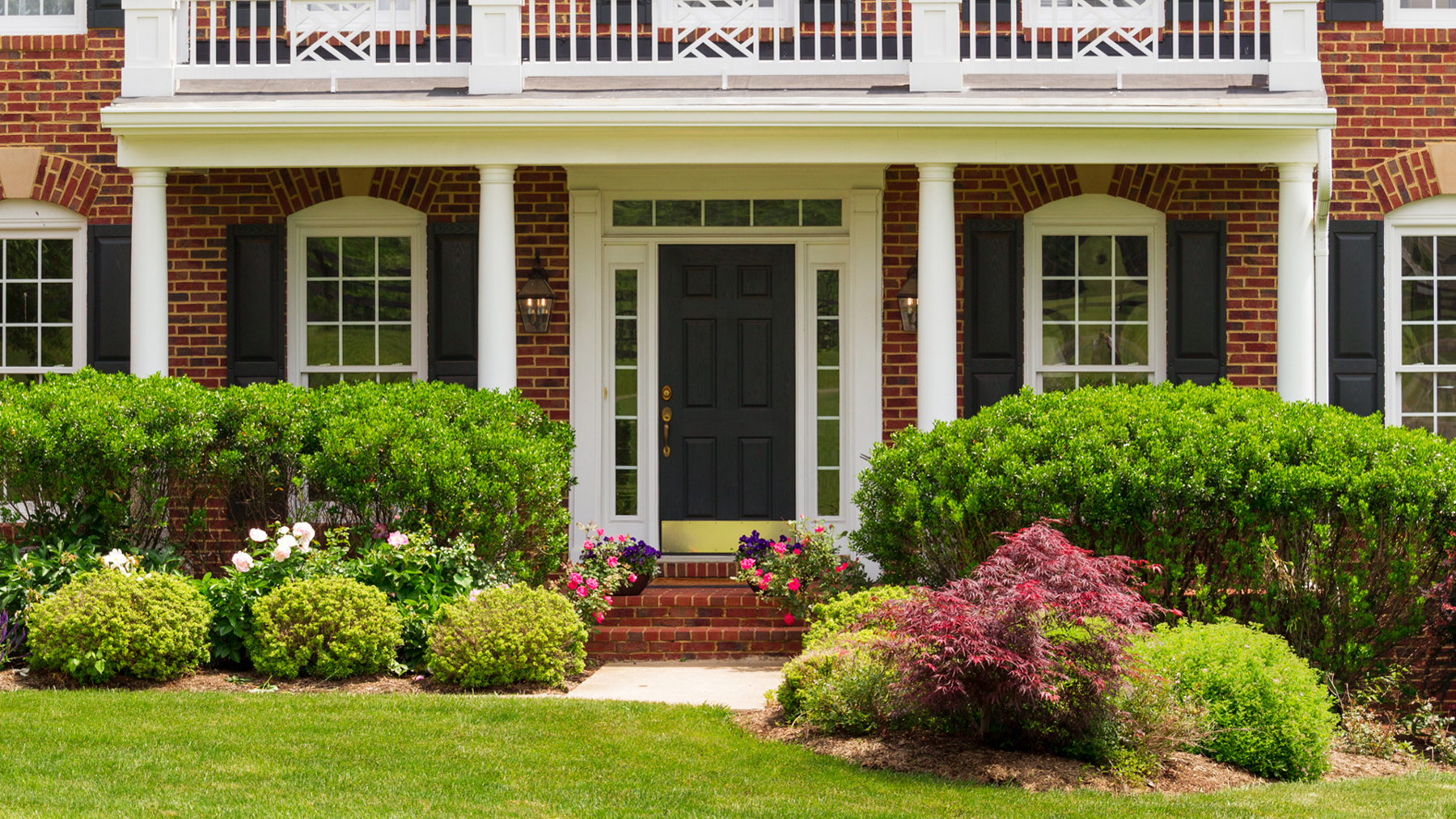 Expert landscaping tips for choosing and installing plants - Vimarsana News