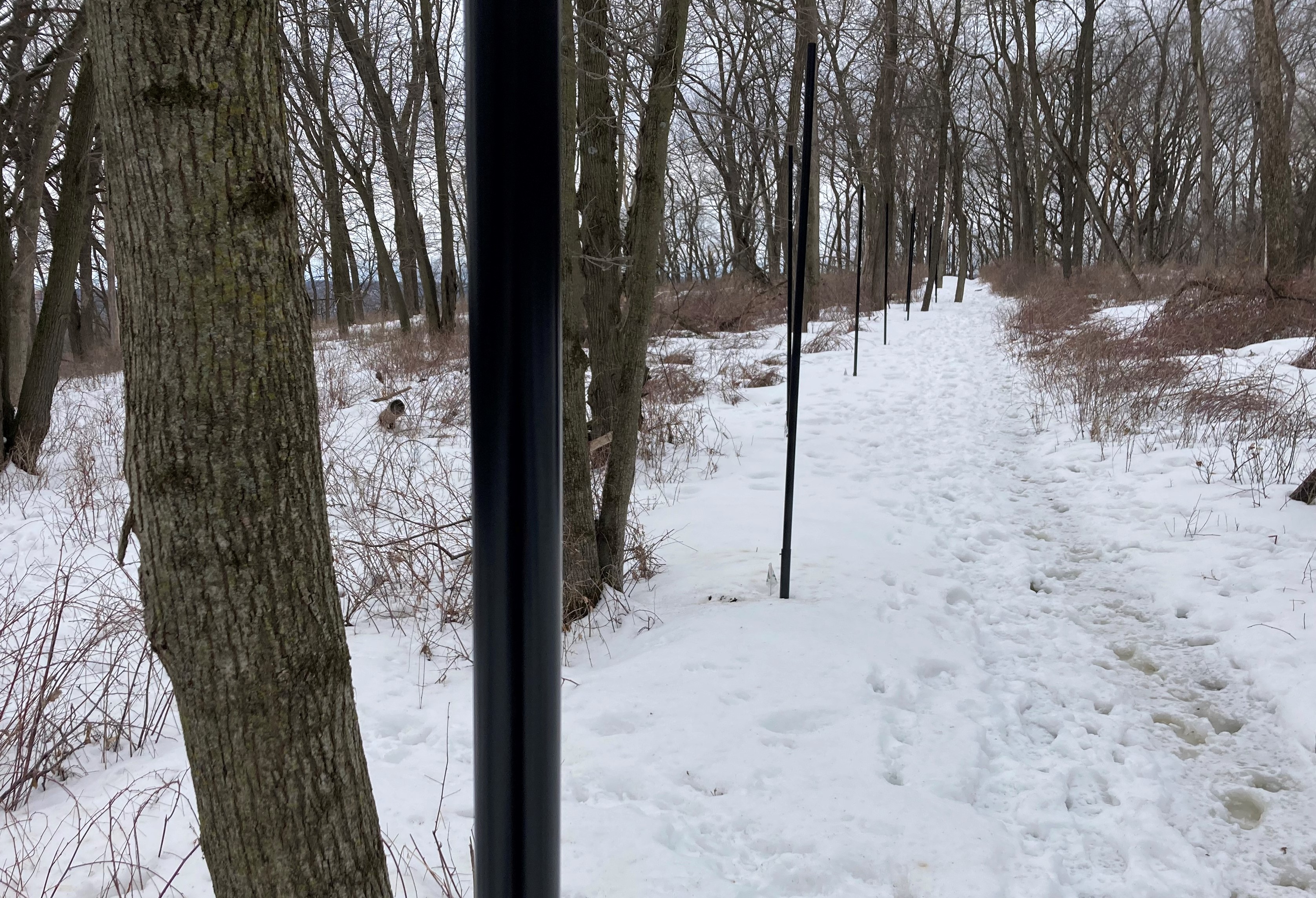 Posts mark fence line in effort to restore native plants in Indian Heights Park - Vimarsana News