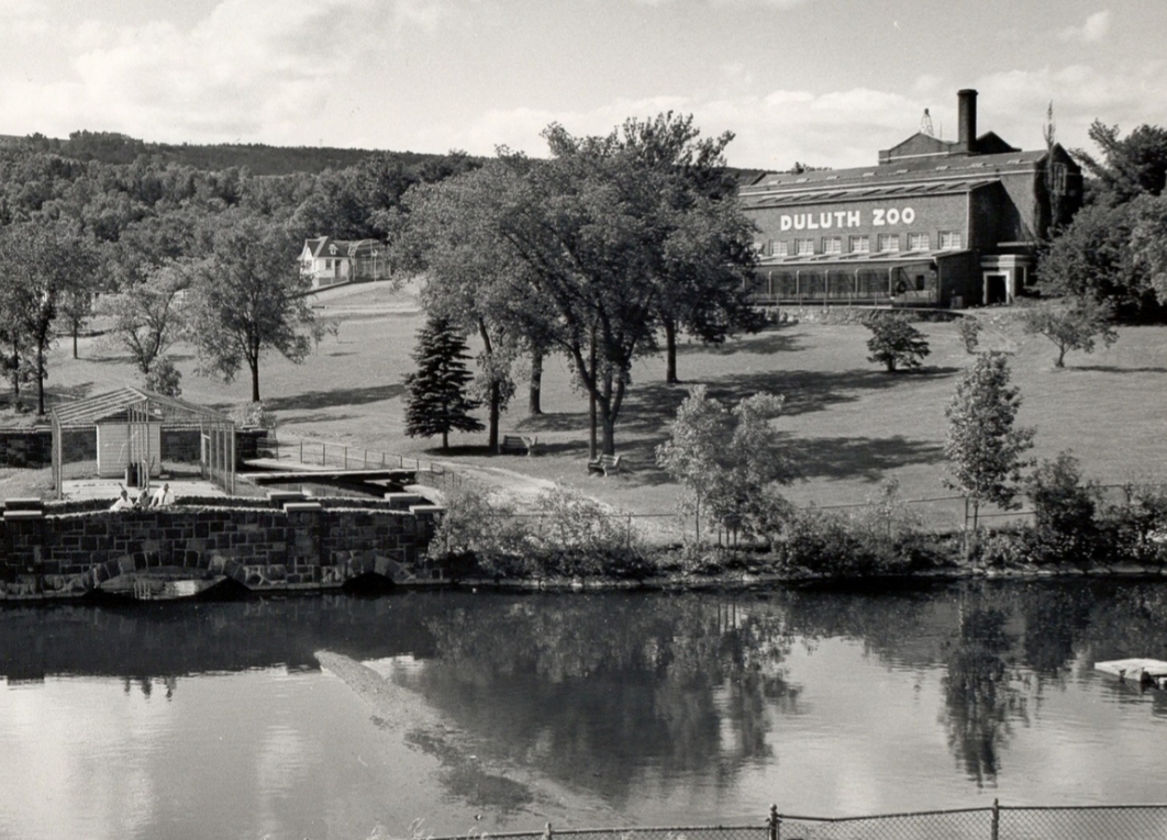 Local View: On centennial, Duluth zoo remains point of pride - Vimarsana News