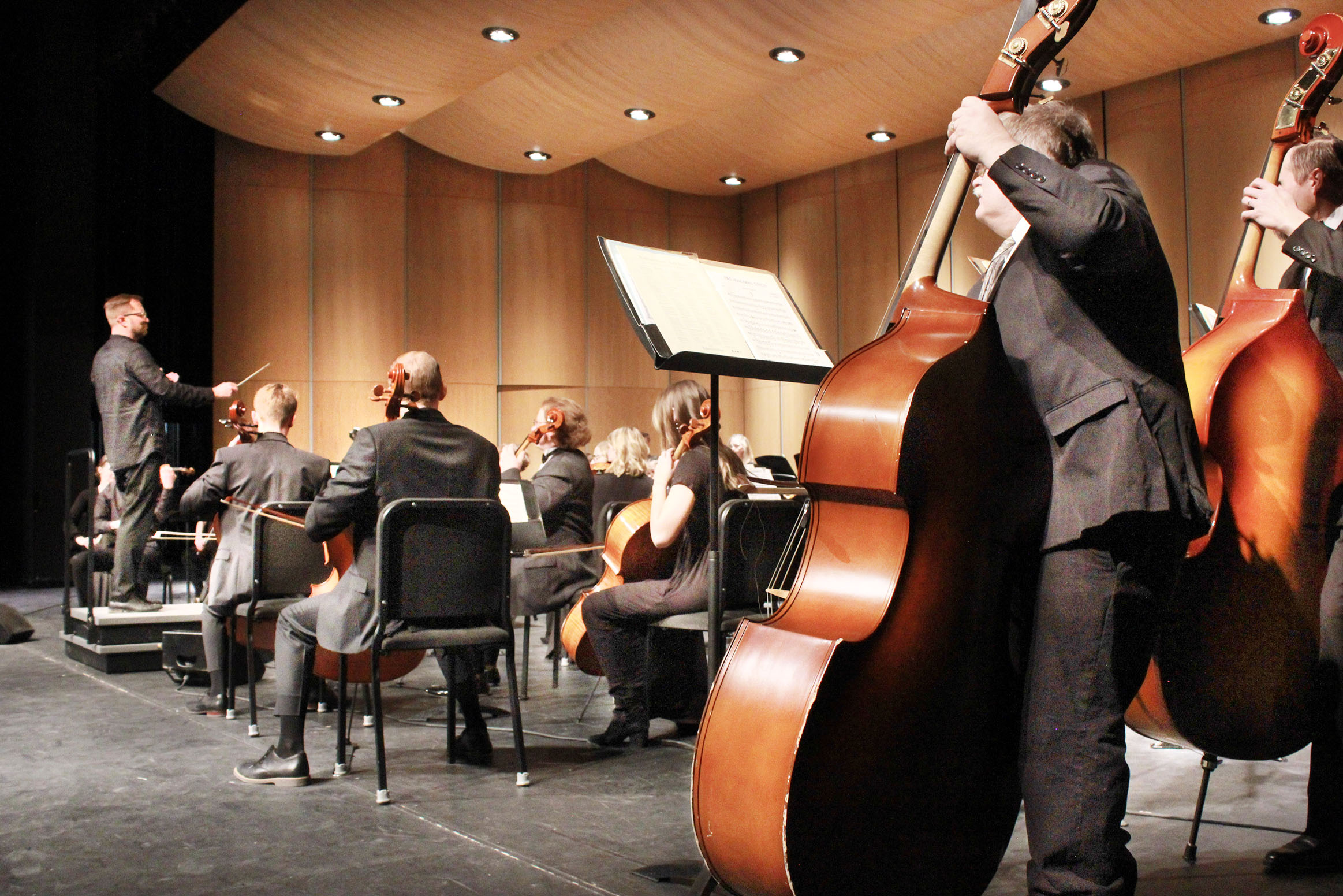 Symphony orchestra to perform in Alexandria March 24 - Vimarsana News