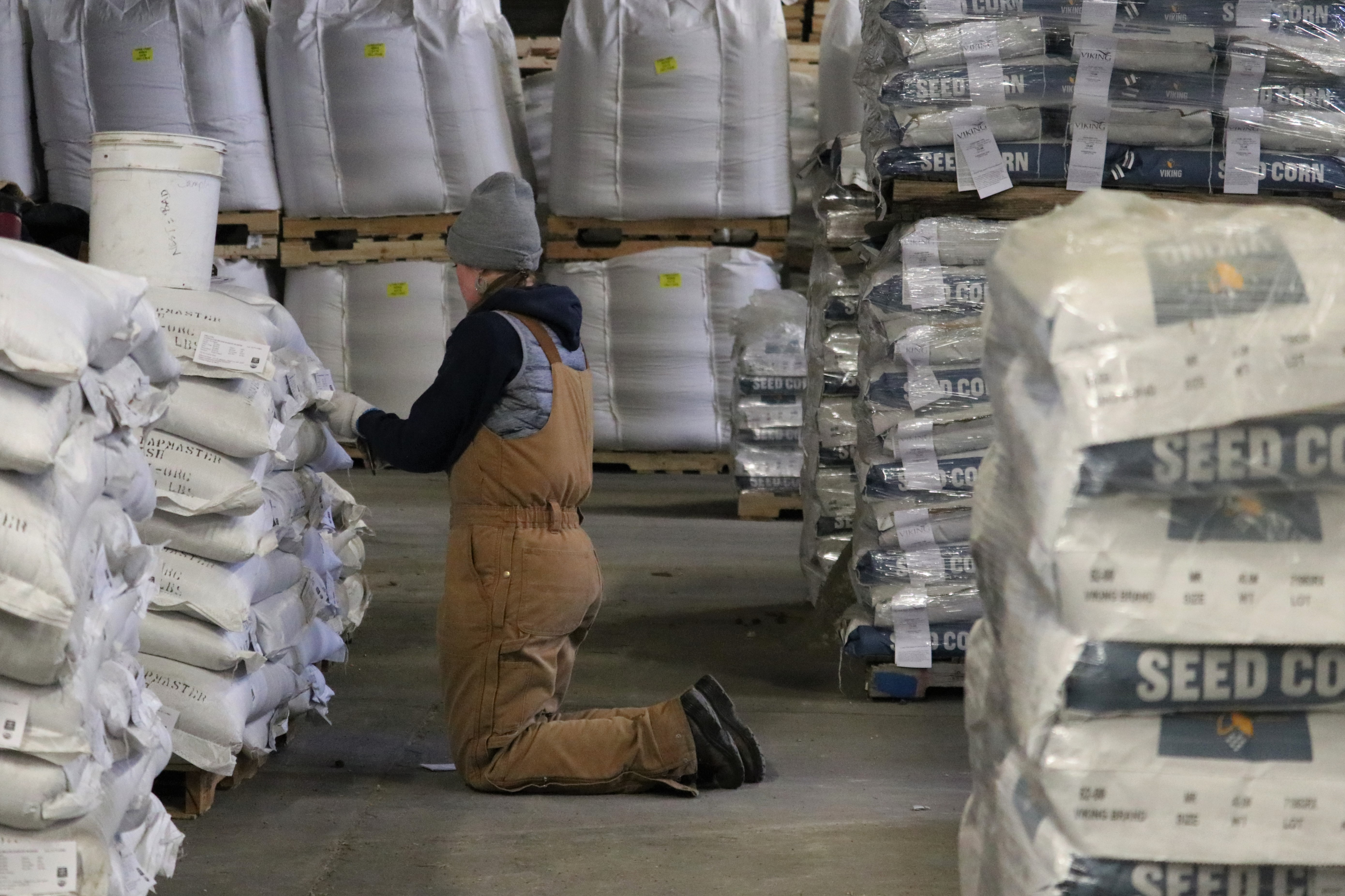 Albert Lea Seed's biggest year comes on 100-year anniversary - Vimarsana News