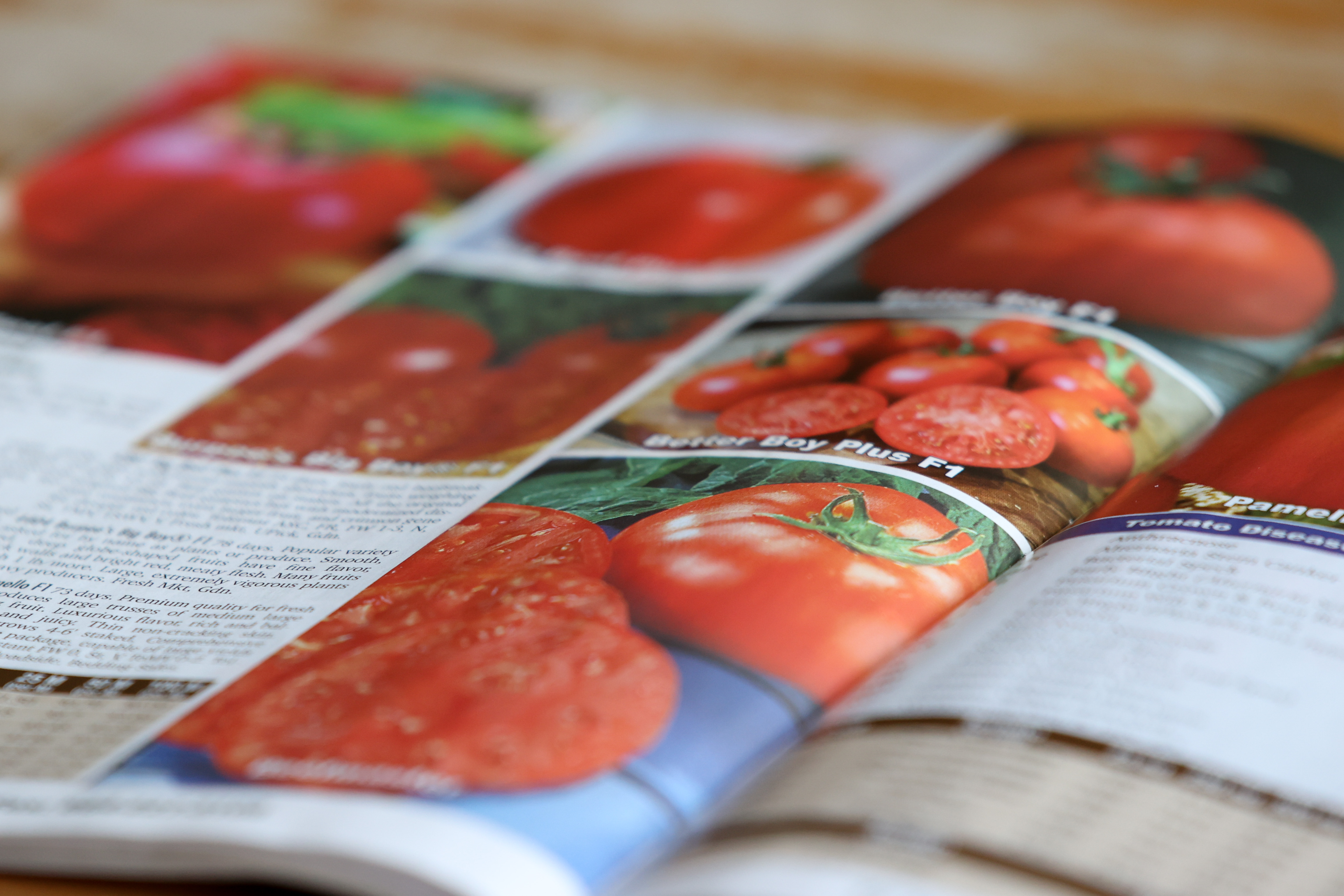 Growing Together: How to choose the best tomato variety - Vimarsana News