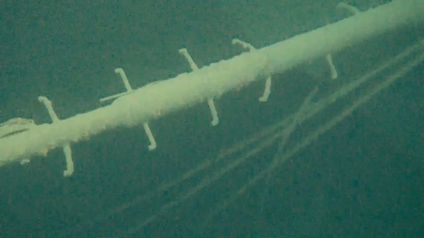 Harrowing stories resurface in newly discovered Lake Superior shipwreck - Vimarsana News