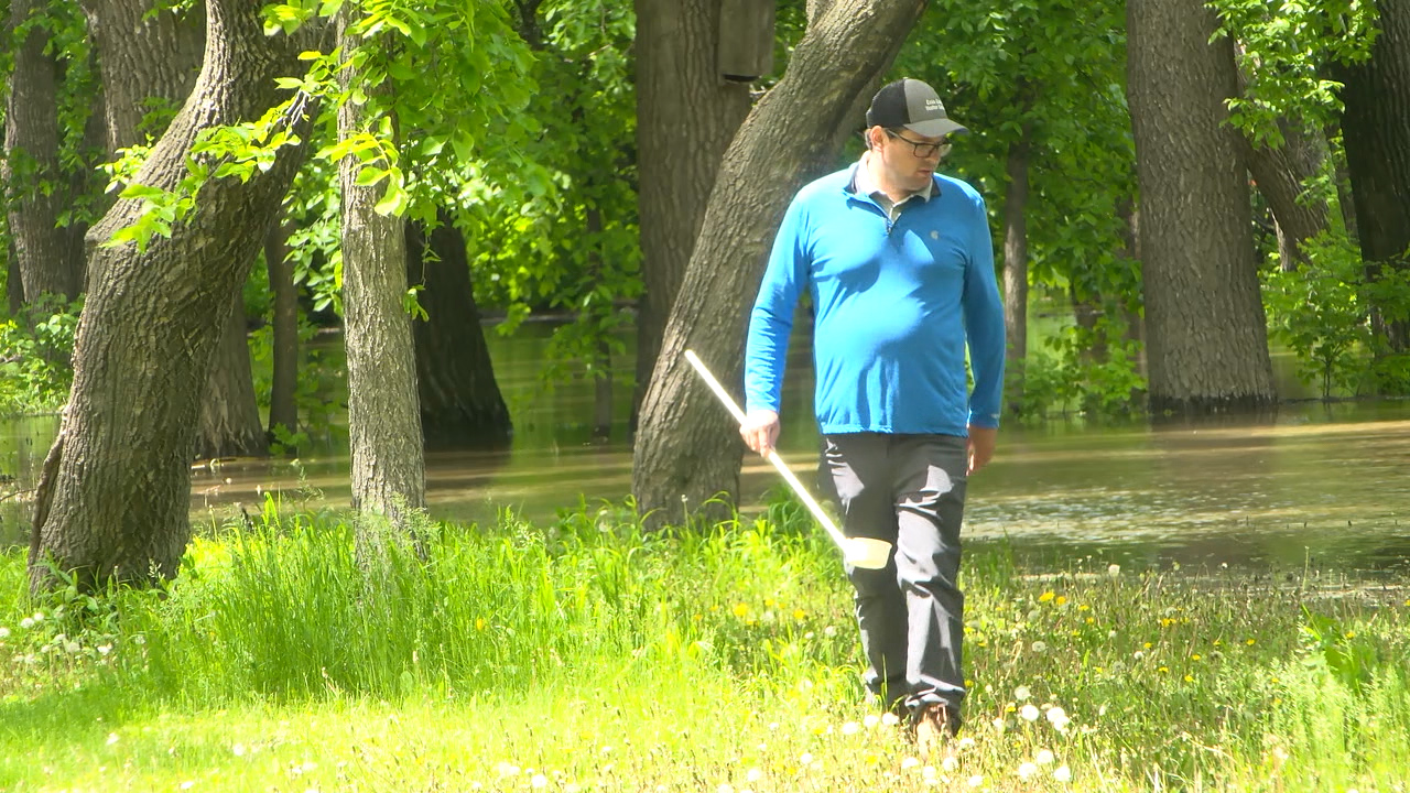 Recent rainfall creates potential breeding ground for mosquitoes - Vimarsana News