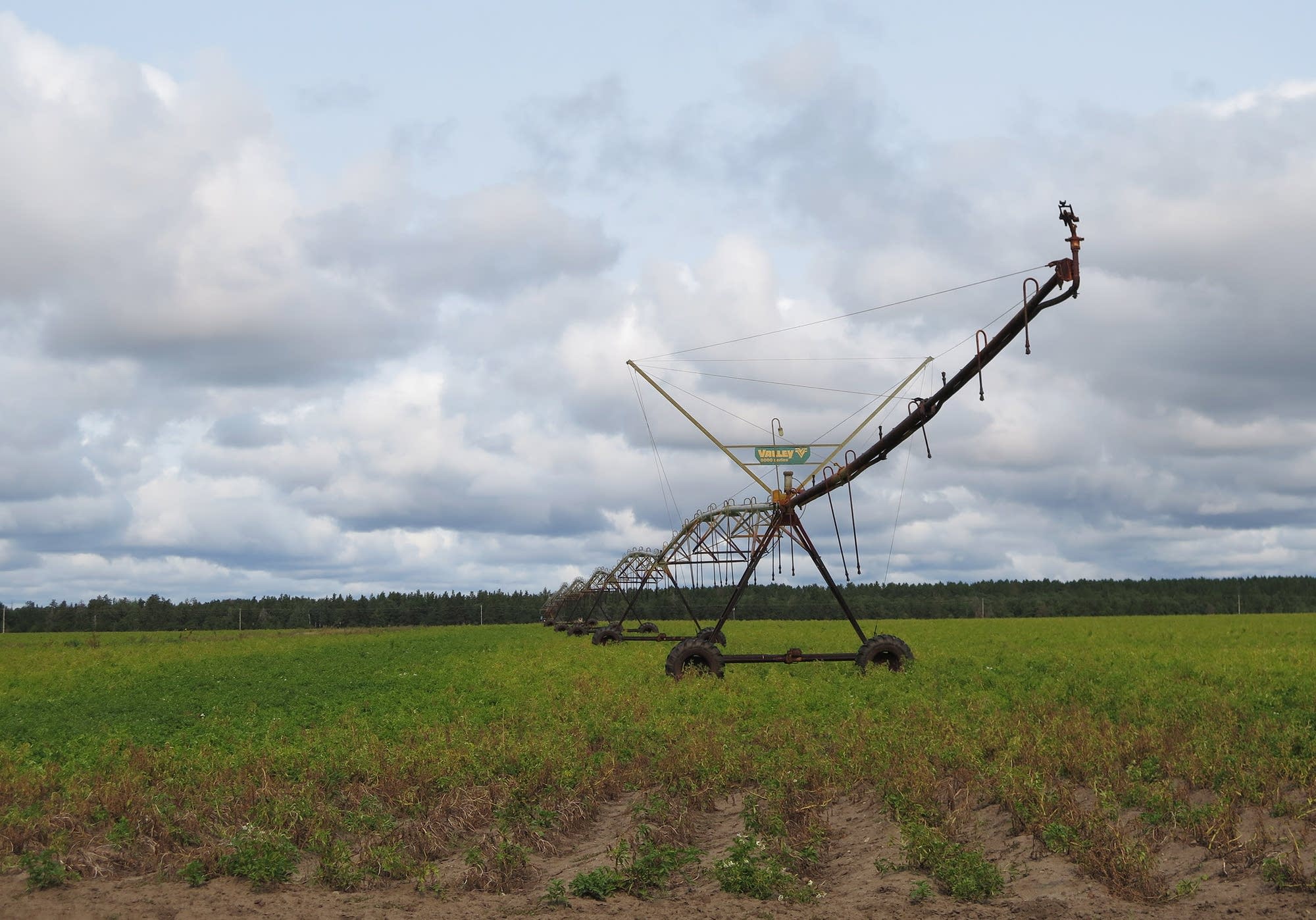 U of M, tribal study will look at farming's impact on water in Pineland Sands - Vimarsana News