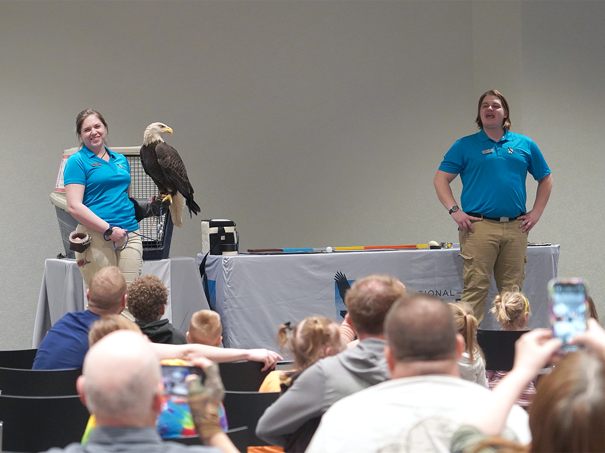 National Eagle Center nesting in Rochester on Sunday - Vimarsana News