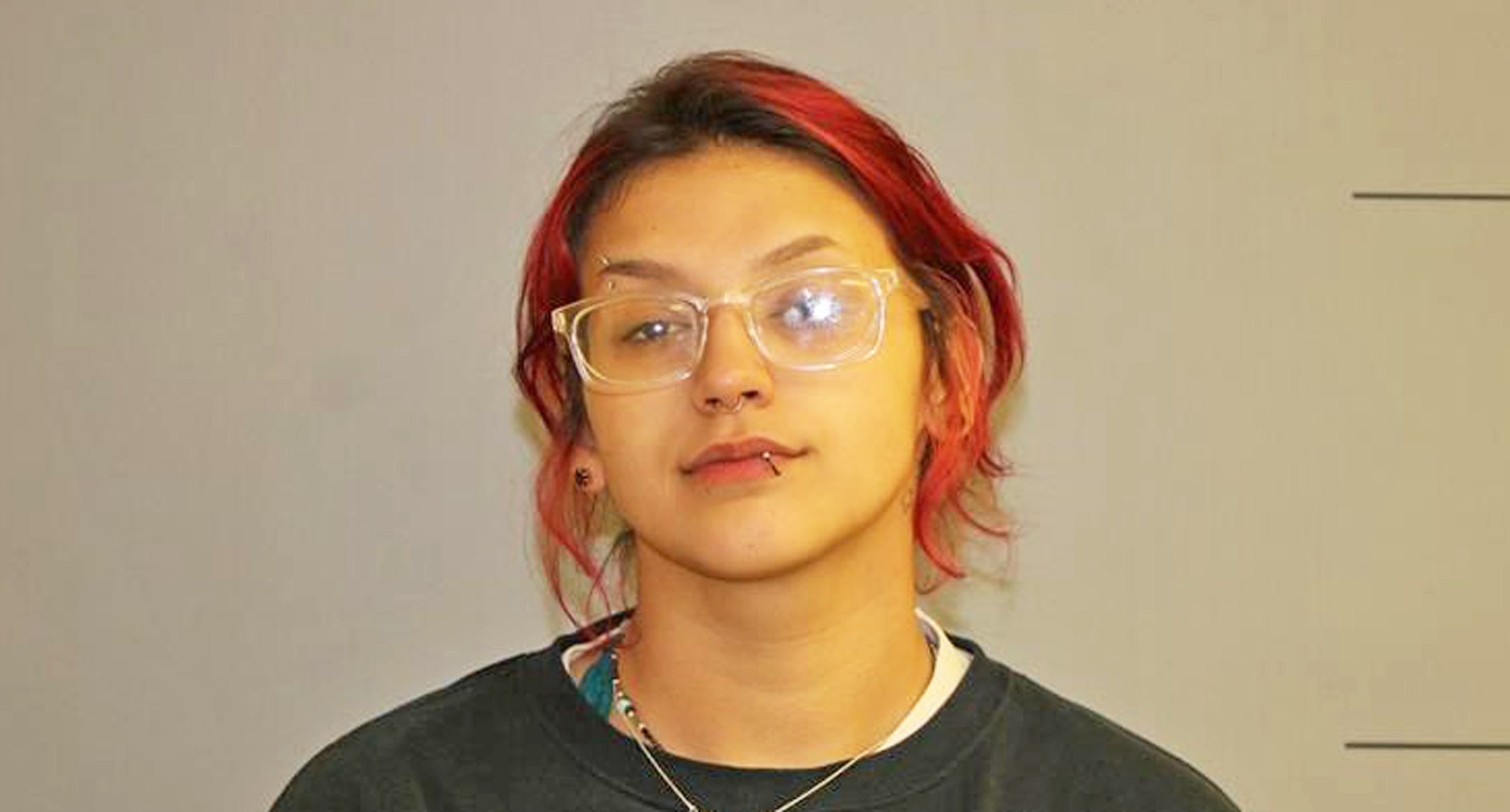 Two arrested on suspicion of being connected to burglary in Jamestown - Vimarsana News