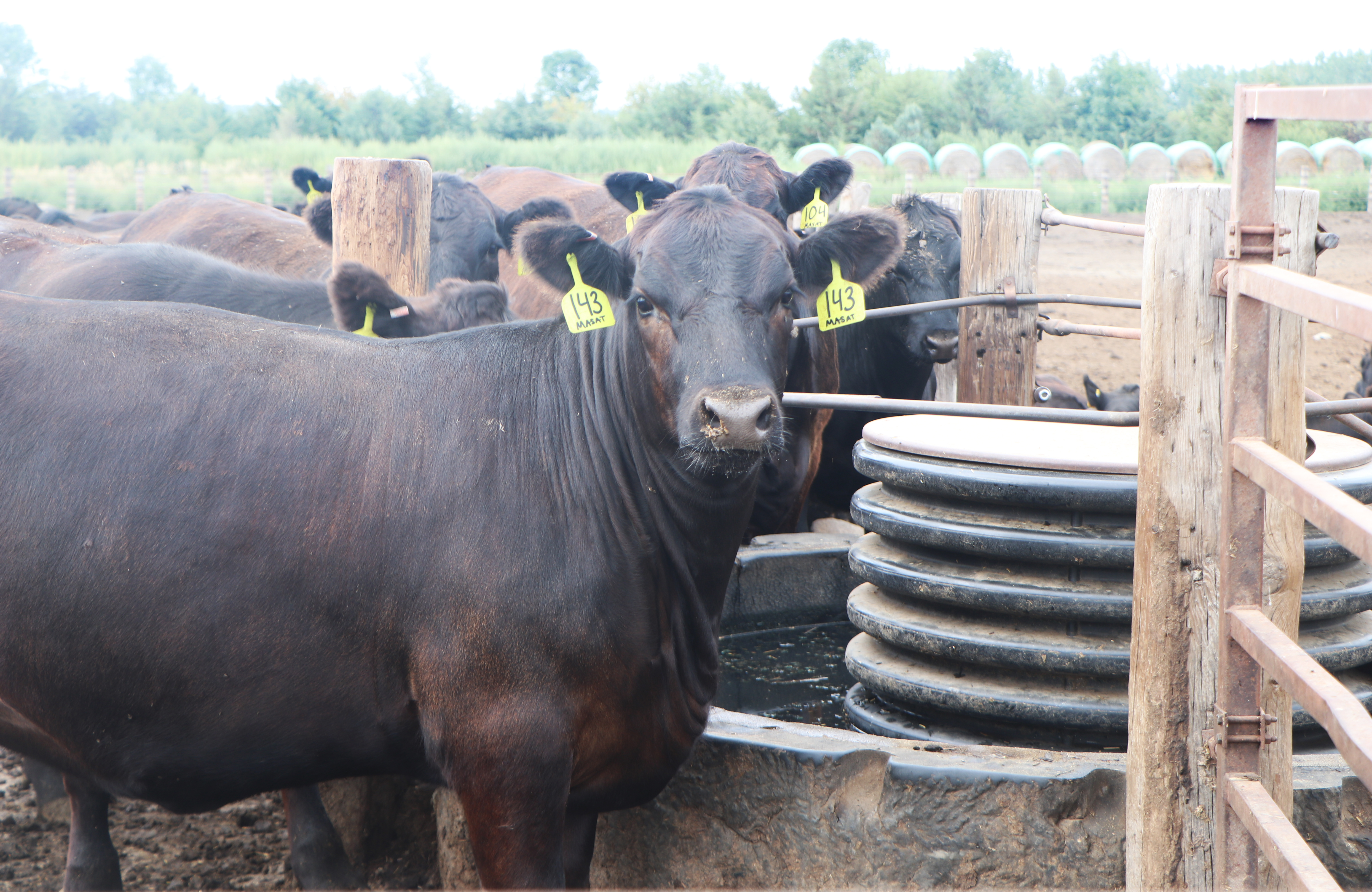 Grant will help launch second USDA-inspected meat processing plant in western South Dakota - Vimarsana News