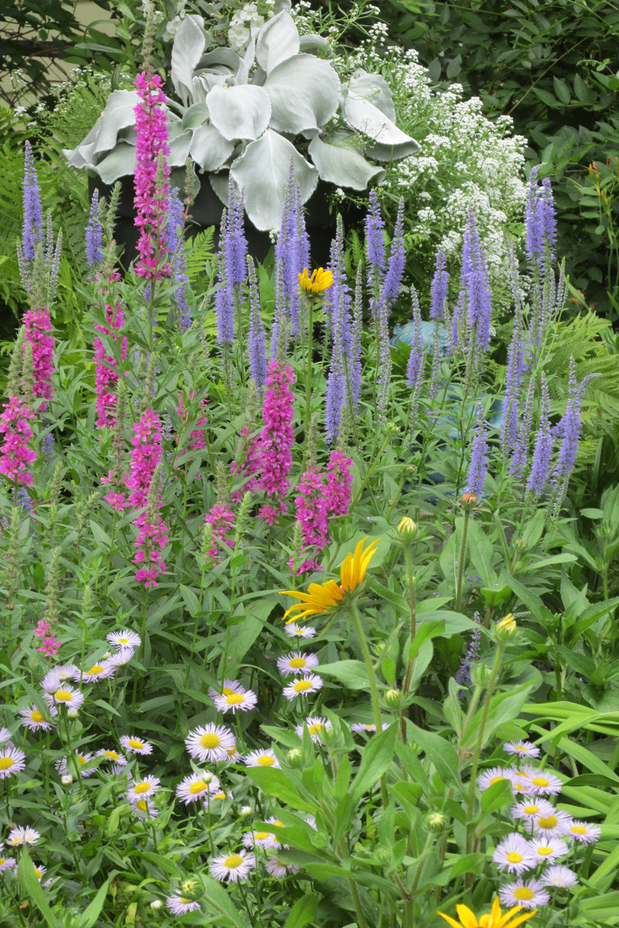 Jamestown Garden Tour scheduled for July 19 - Vimarsana News