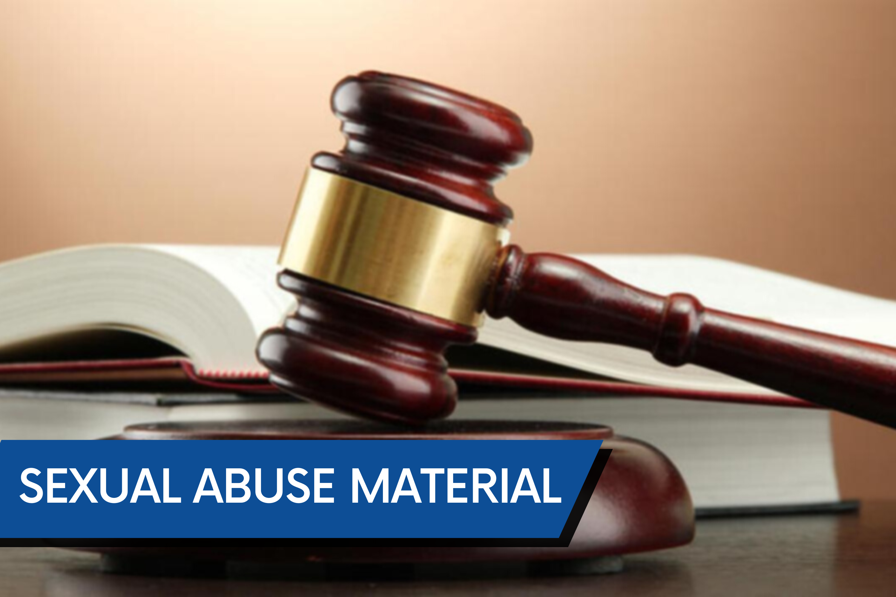 Rochester man charged for spreading child sexual abuse material - Vimarsana News