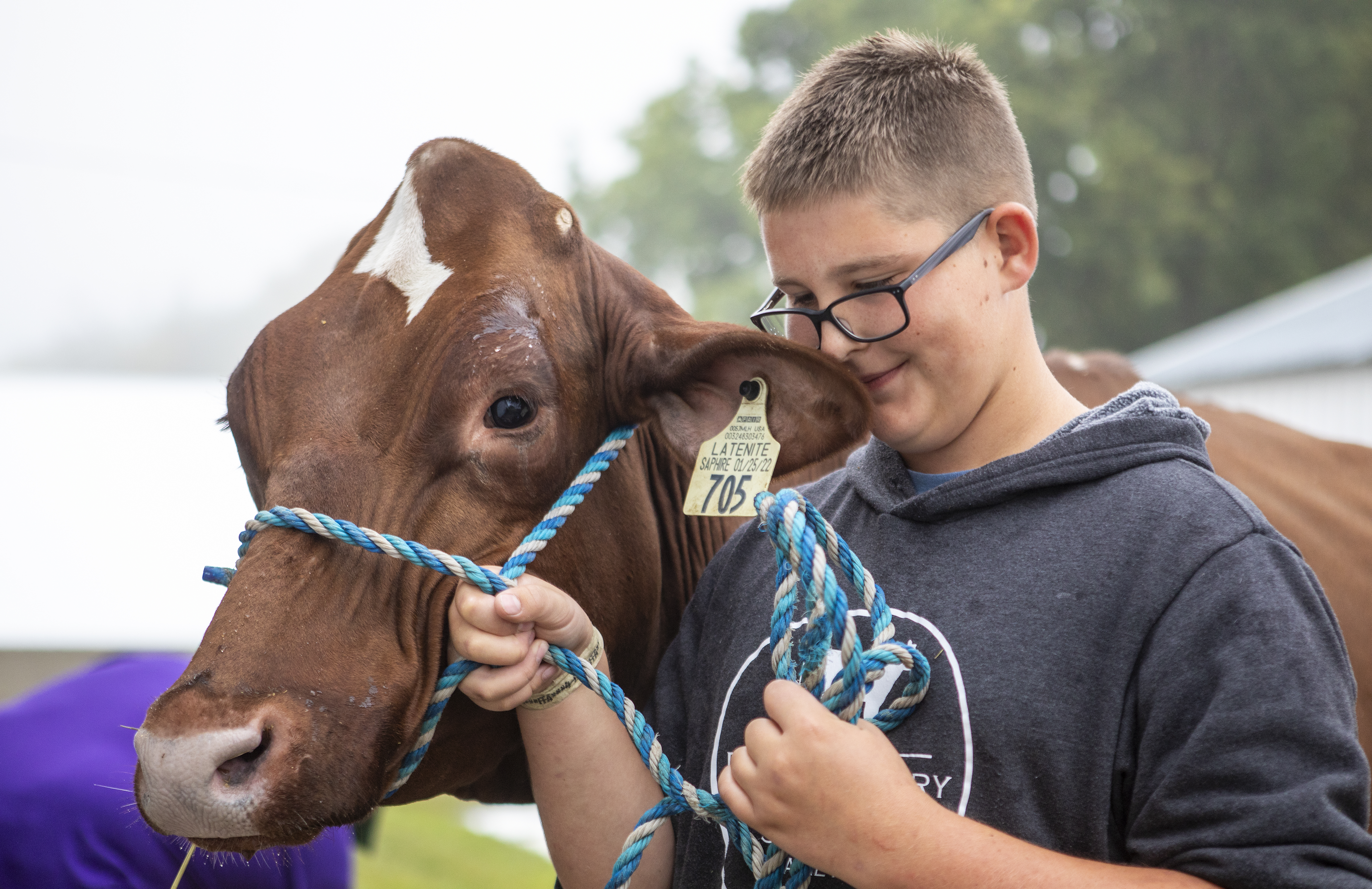 Photos: Kandiyohi County youth ready their cattle for judging at county fair - Vimarsana News