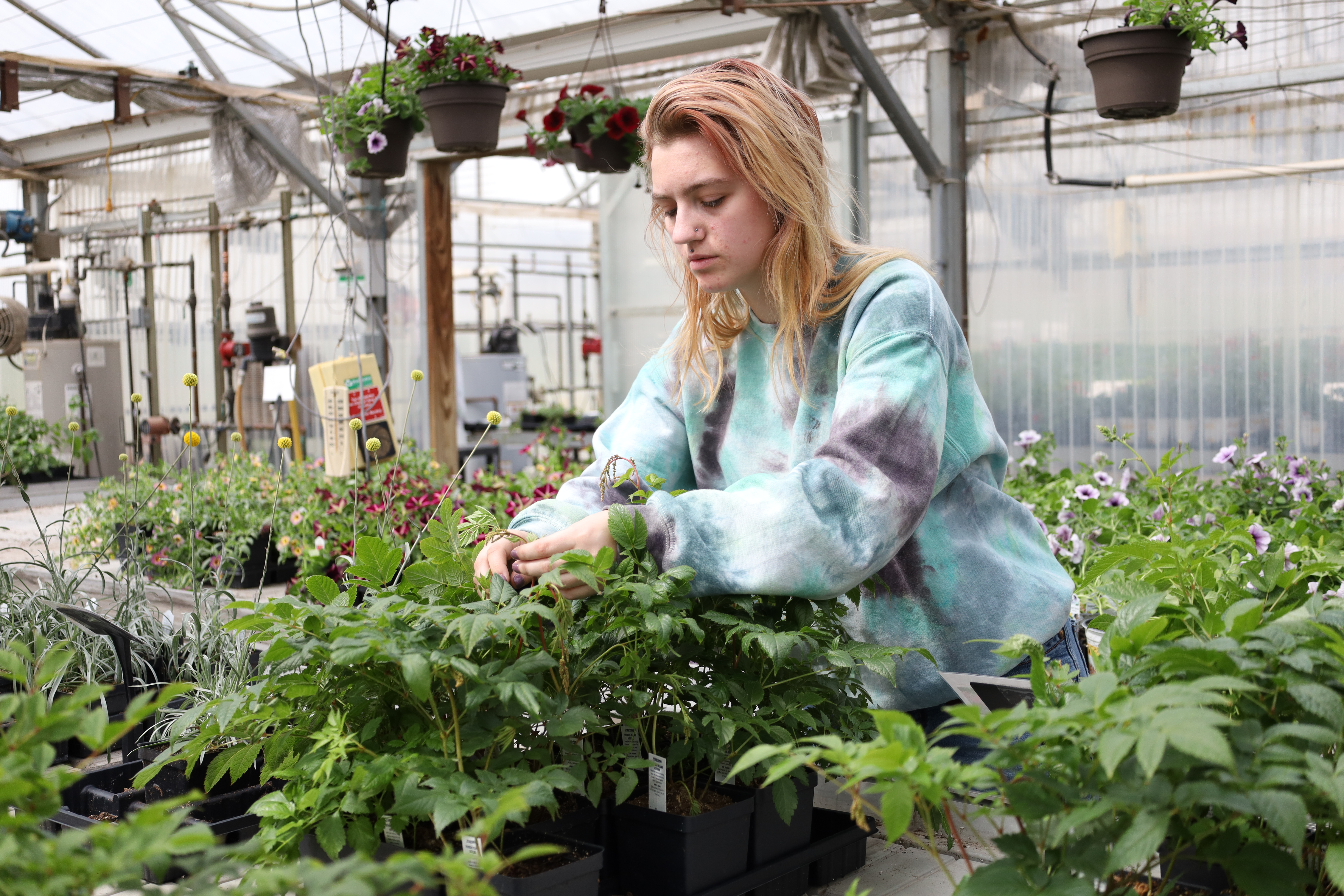 Annual Southeast Technical College plant sale grows the future of horticulturalists - Vimarsana News