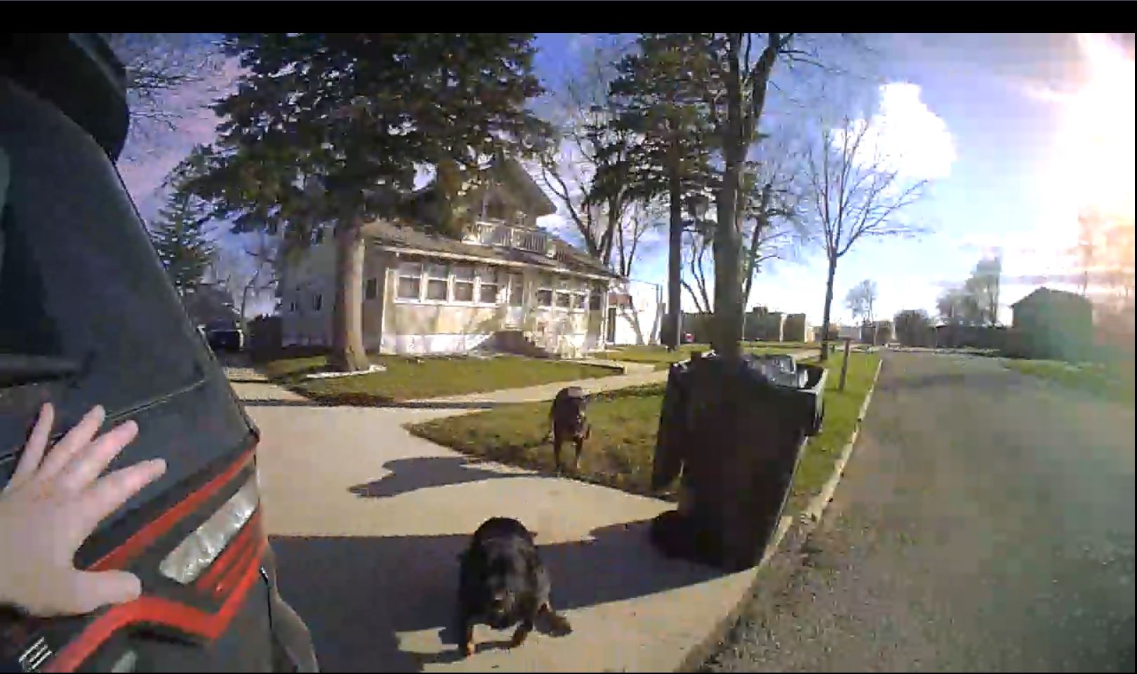 Owner of dog shot by police says complaint should have been handled differently - Vimarsana News