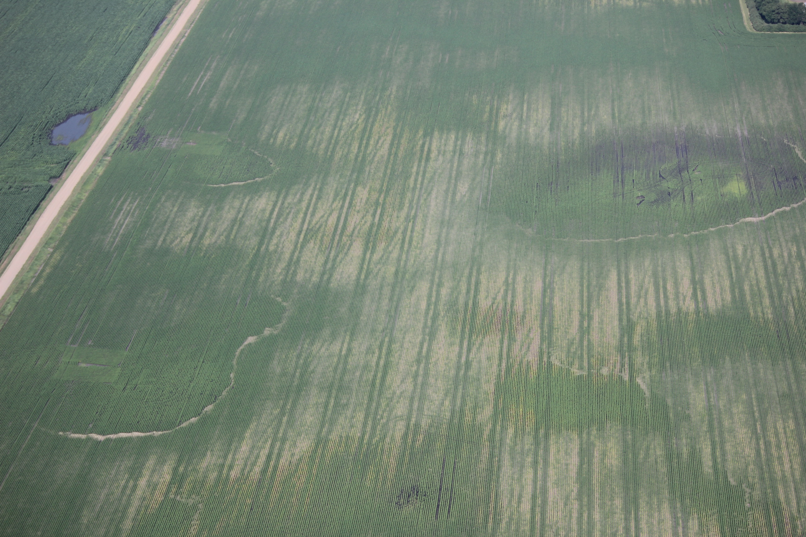 The lasting impression of soil compaction on crop yields