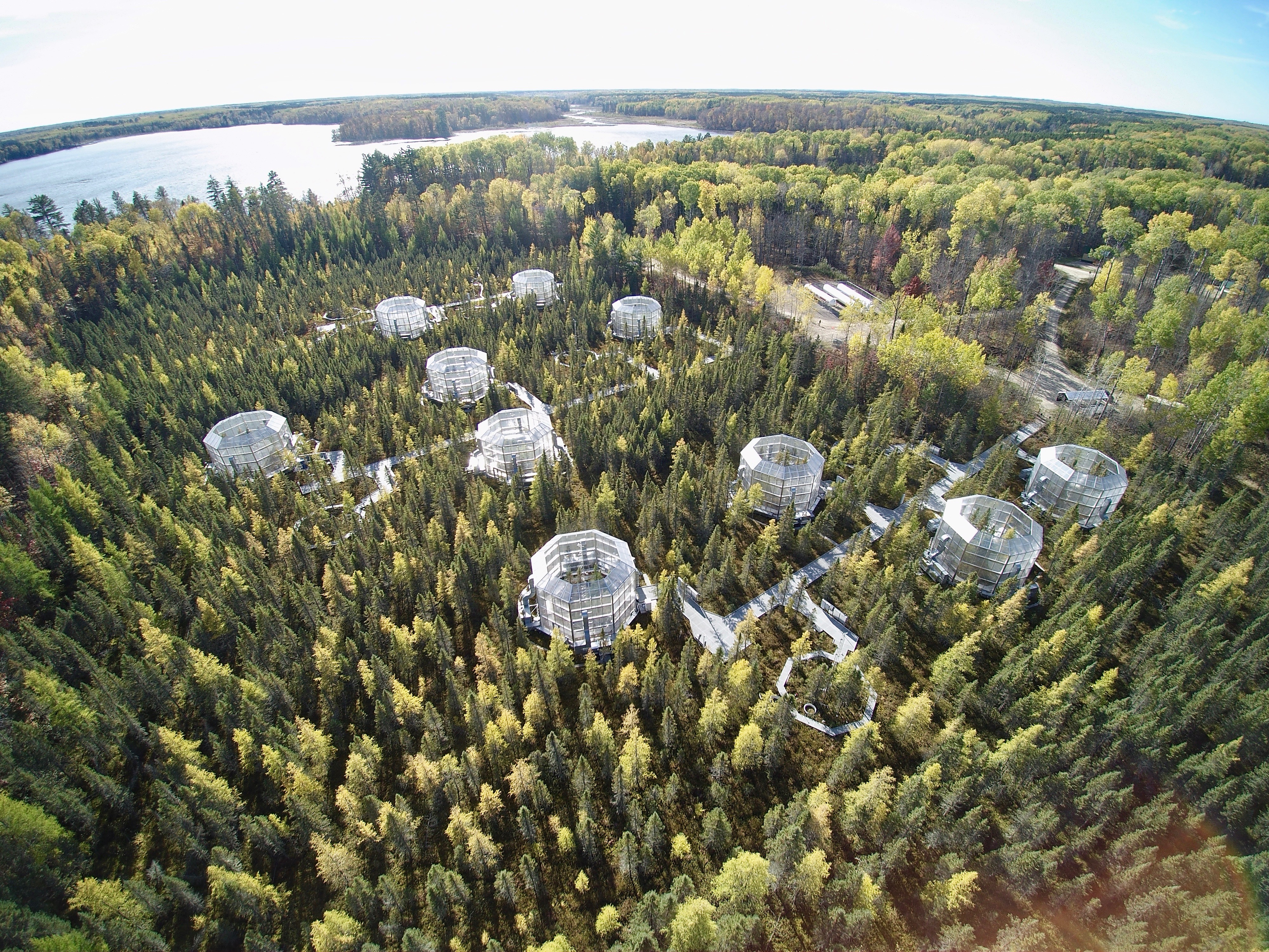 Science fiction meets fact with bog enclosures in experimental forest - Vimarsana News