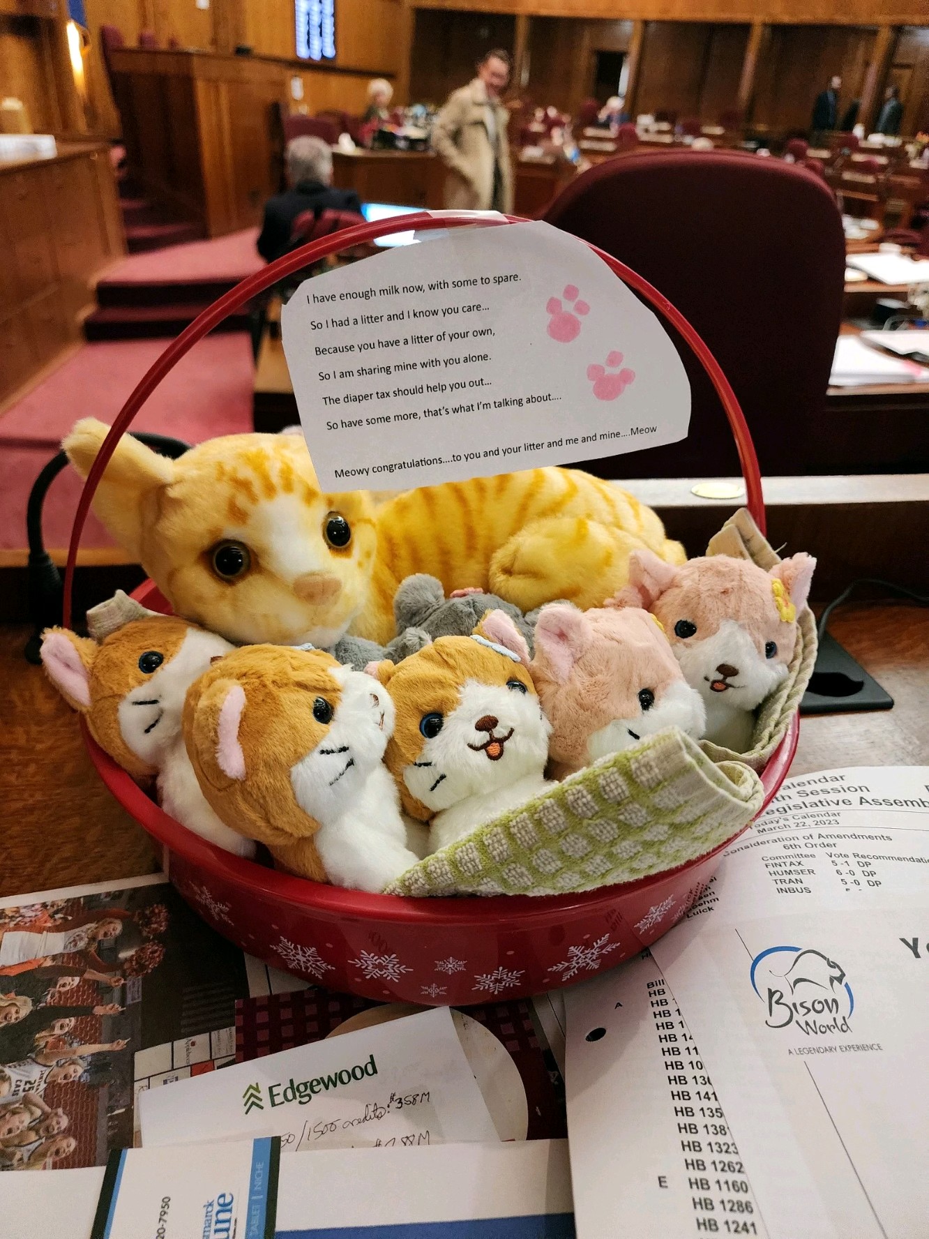 Nonpartisan 'therapy cat' makes rounds in the Senate chamber - Vimarsana News