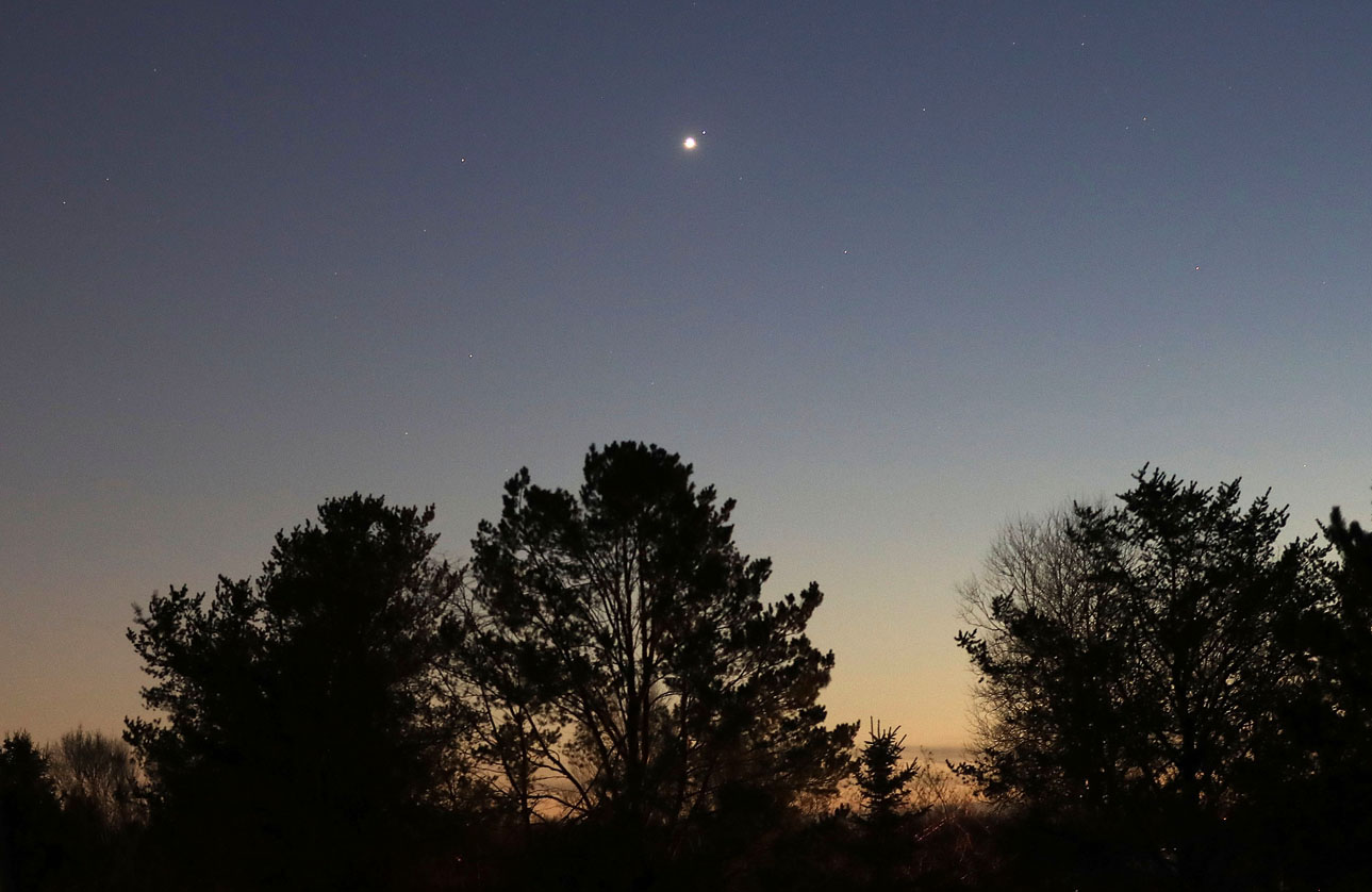 Astro Bob: May, a merry month to stargaze - Vimarsana News