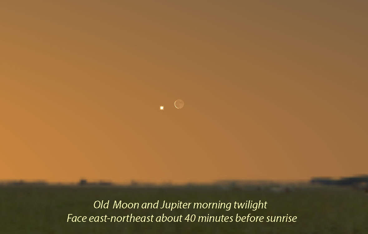 Astro Bob: Brighten your week with planet pairings and a rare Jupiter-moon occultation - Vimarsana News