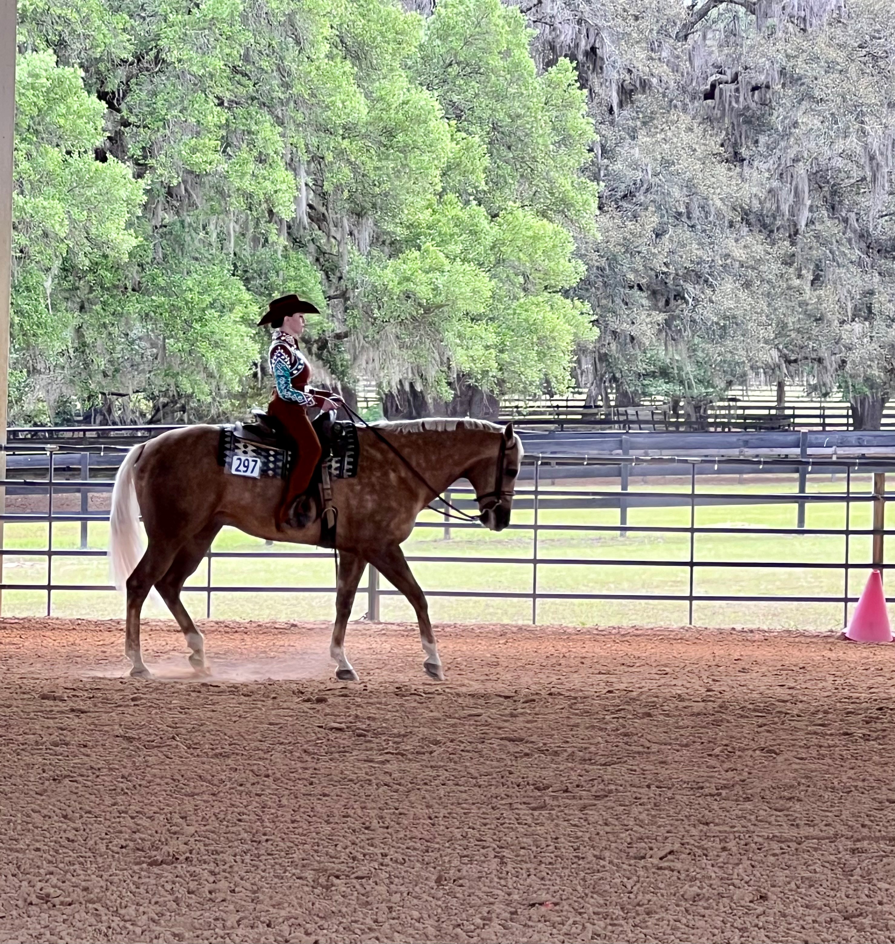 NDSU Western Equestrian Team rides into nationals after almost losing their program - Vimarsana News
