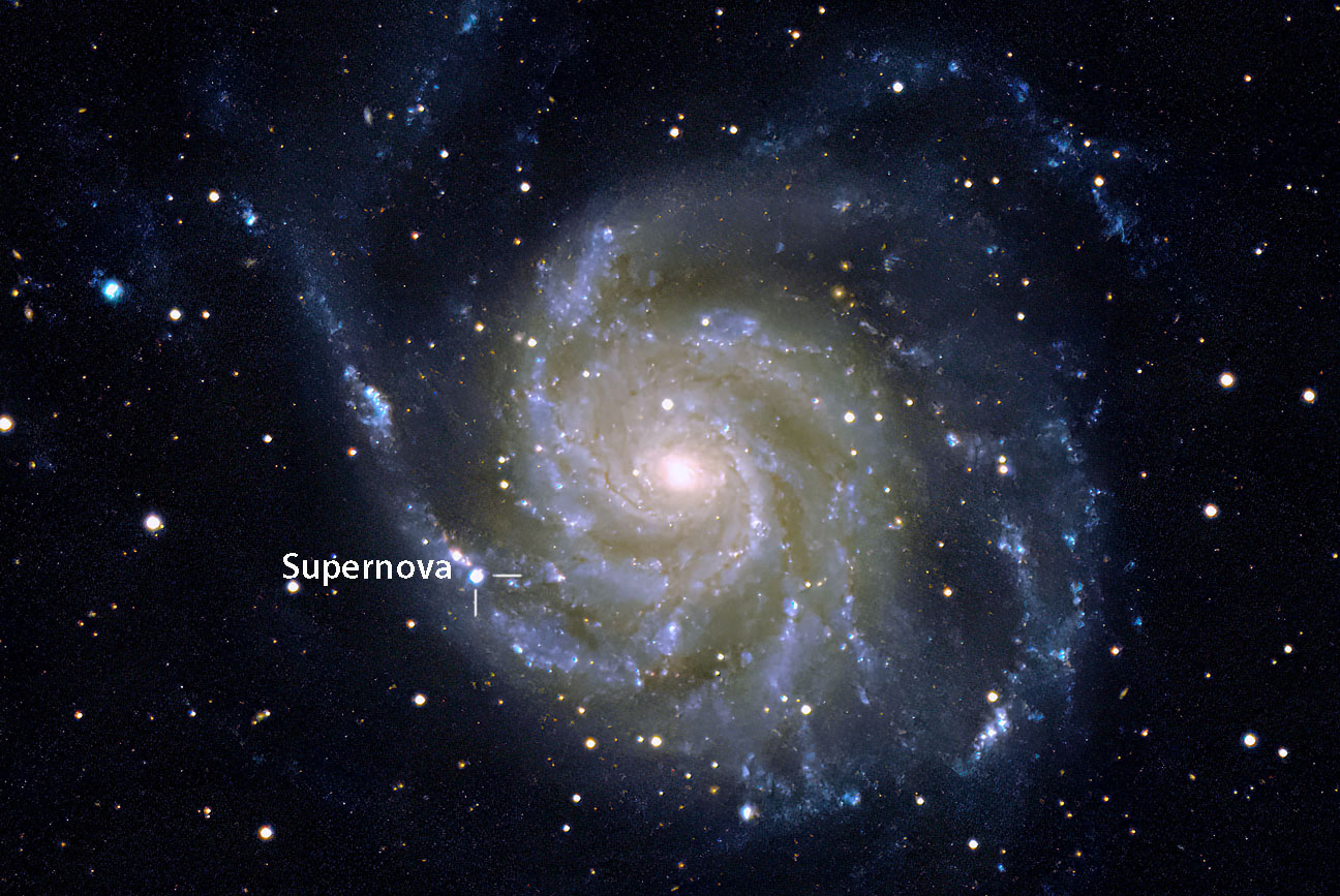 Astro Bob: Supergiant star in Pinwheel Galaxy goes supernova! - Vimarsana News