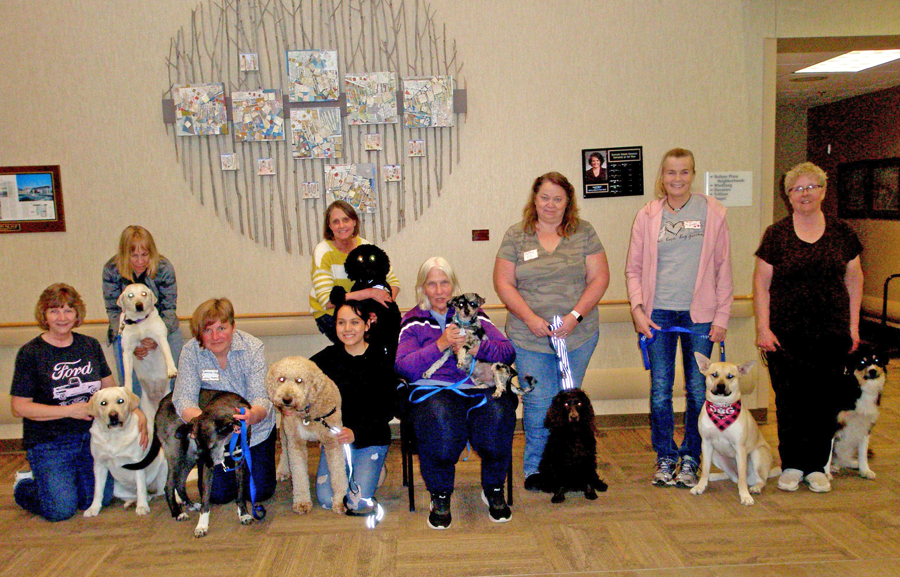 Park Rapids dogs among graduates of therapy class - Vimarsana News