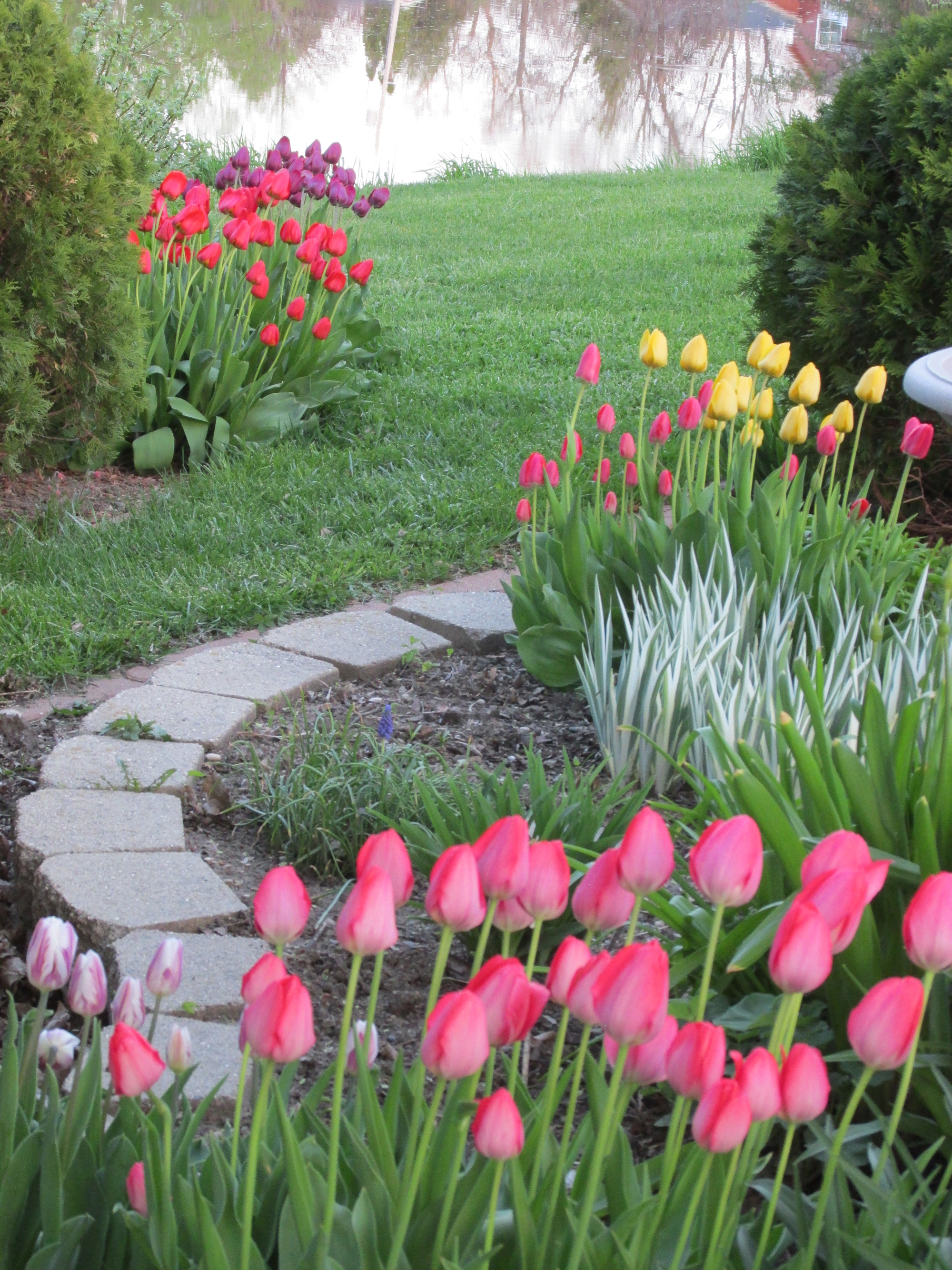 Spring is right around the corner​​​ - Vimarsana News