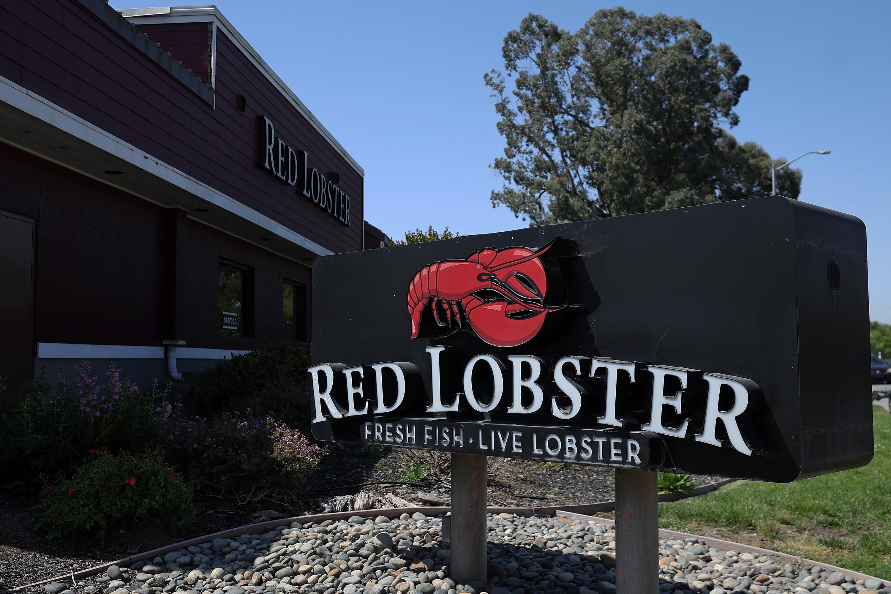 Red Lobster offered customers all-you-can-eat shrimp. That was a mistake - Vimarsana News