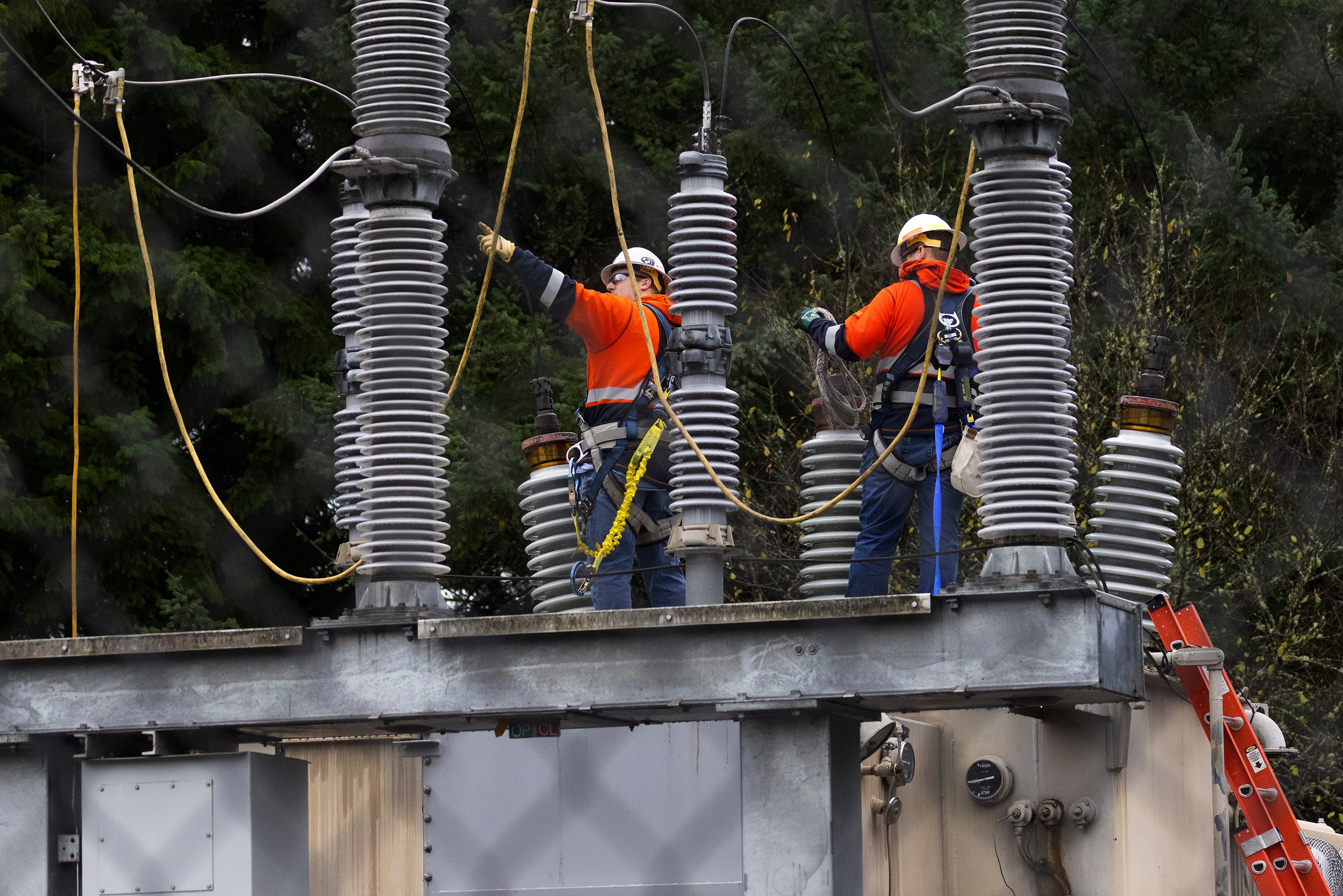 American Opinion: America's Achilles' heel is the power grid - West Central Tribune | News, weather, sports from Willmar Minnesota - Vimarsana News